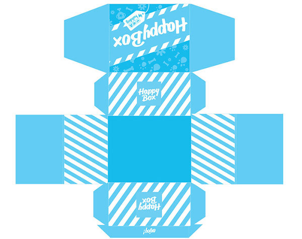 happy box package design, monthly subscription box design by Tatiana Vovchek