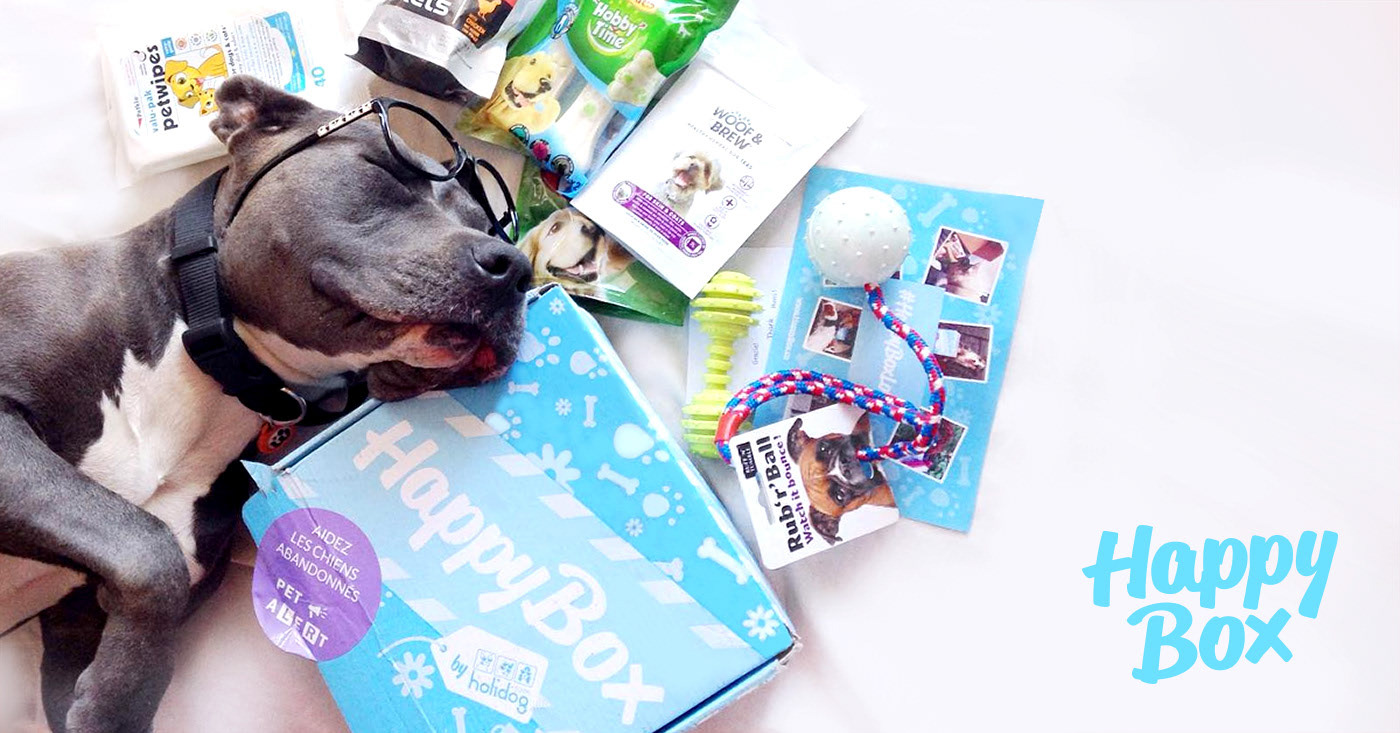 happy box package design, monthly subscription box design by Tatiana Vovchek