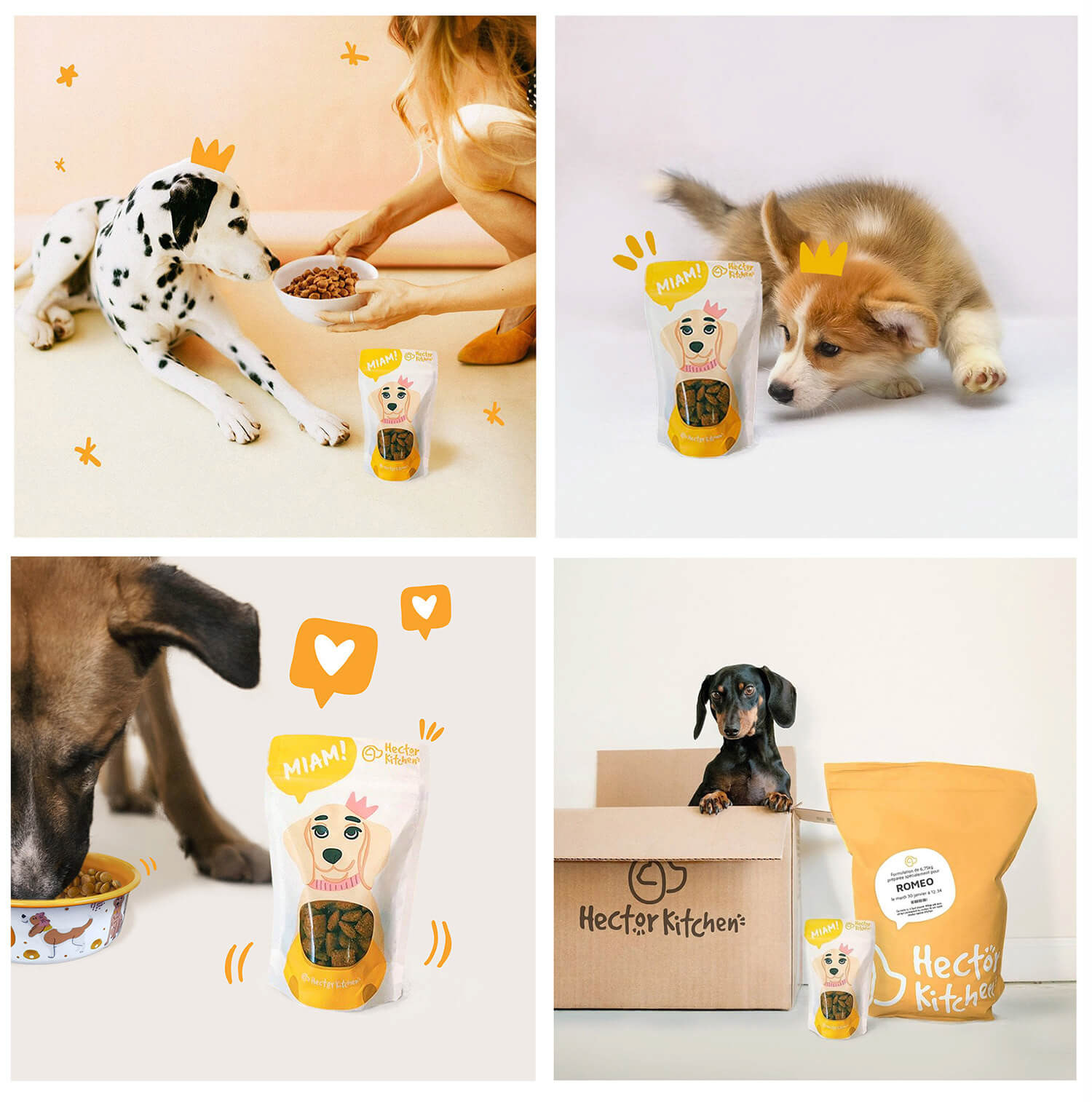 dog treats, illustrations and package design by Tatiana Vovchek