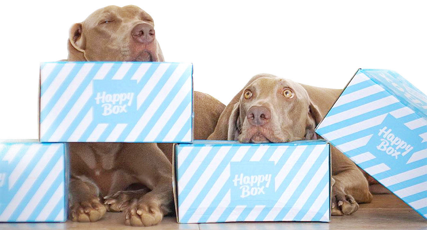 happy box package design, monthly subscription box design by Tatiana Vovchek