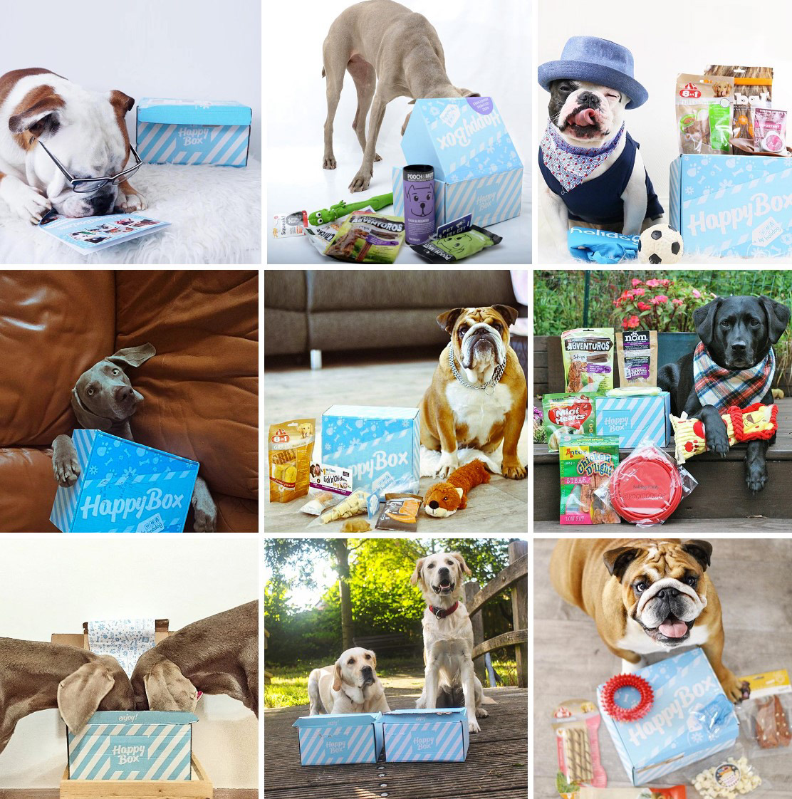 happy box package design, monthly subscription box design by Tatiana Vovchek