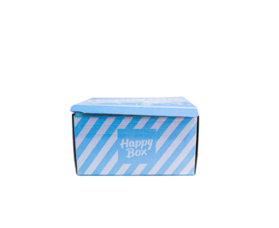 happy box package design, monthly subscription box design by Tatiana Vovchek