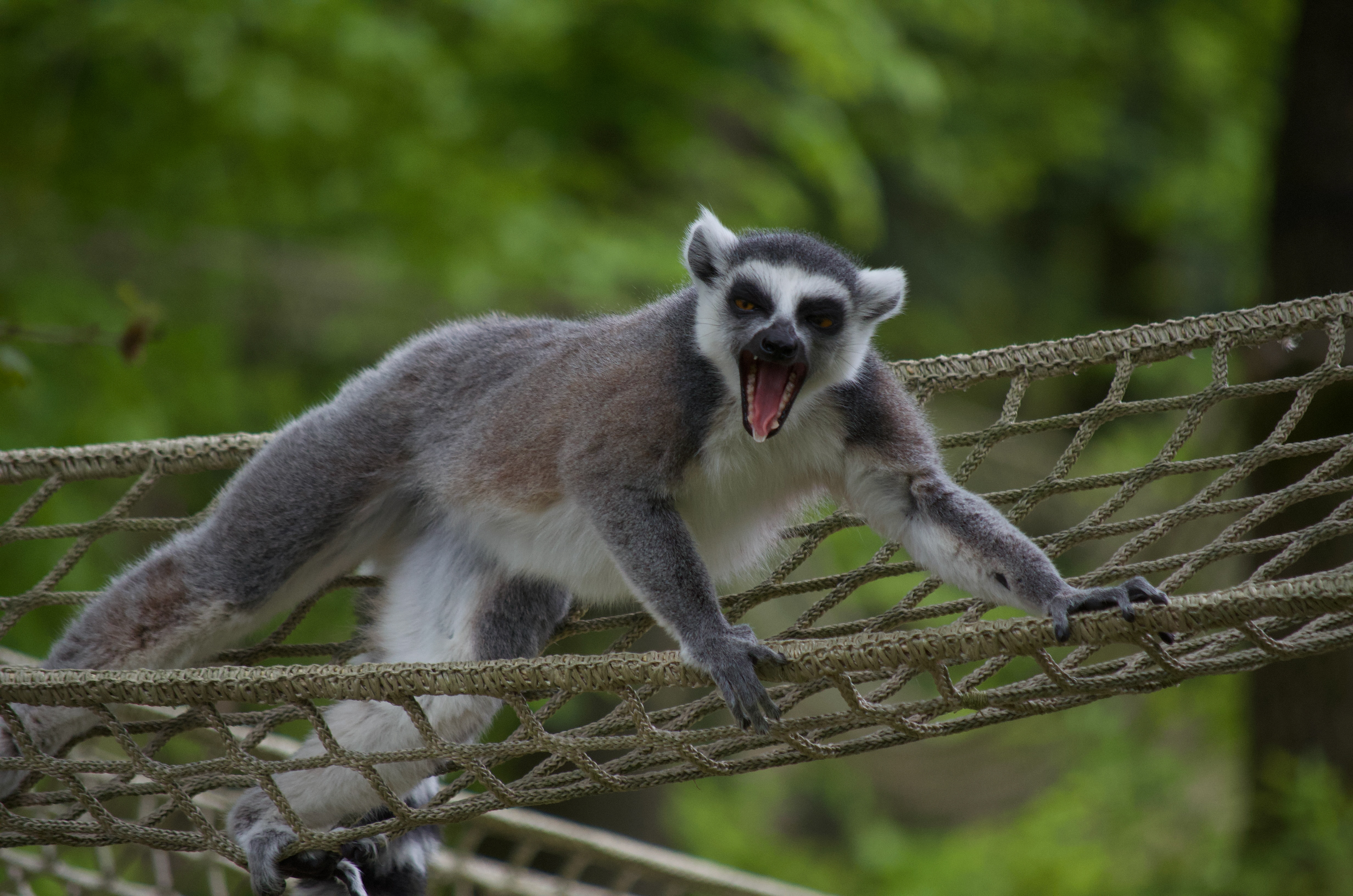 DierenPark Amersfoort