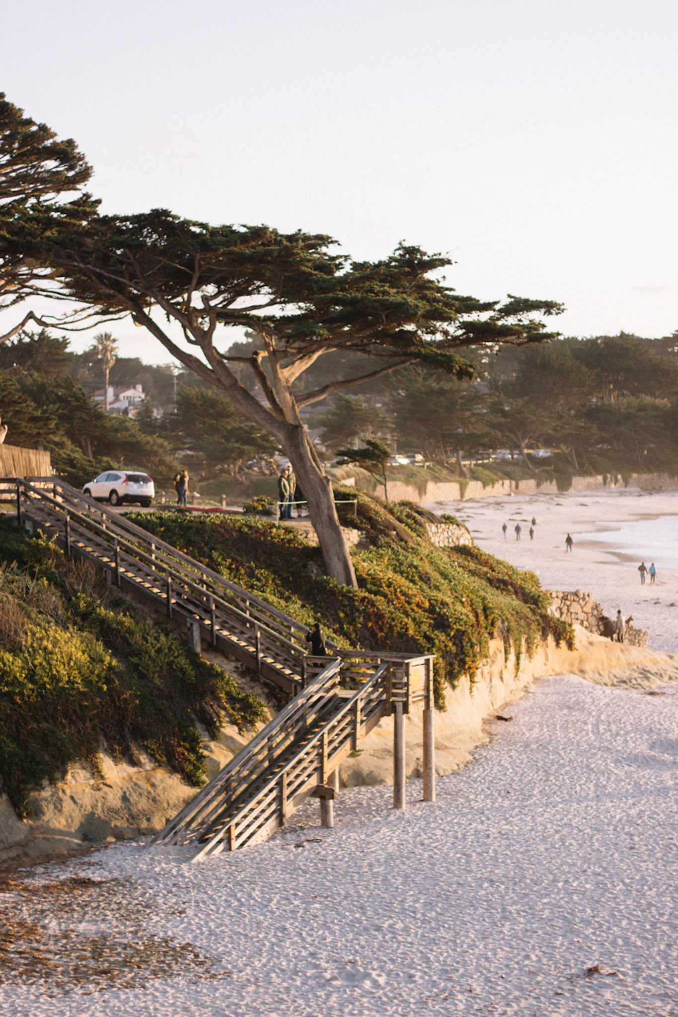 Beach with Stairs &amp; Trees