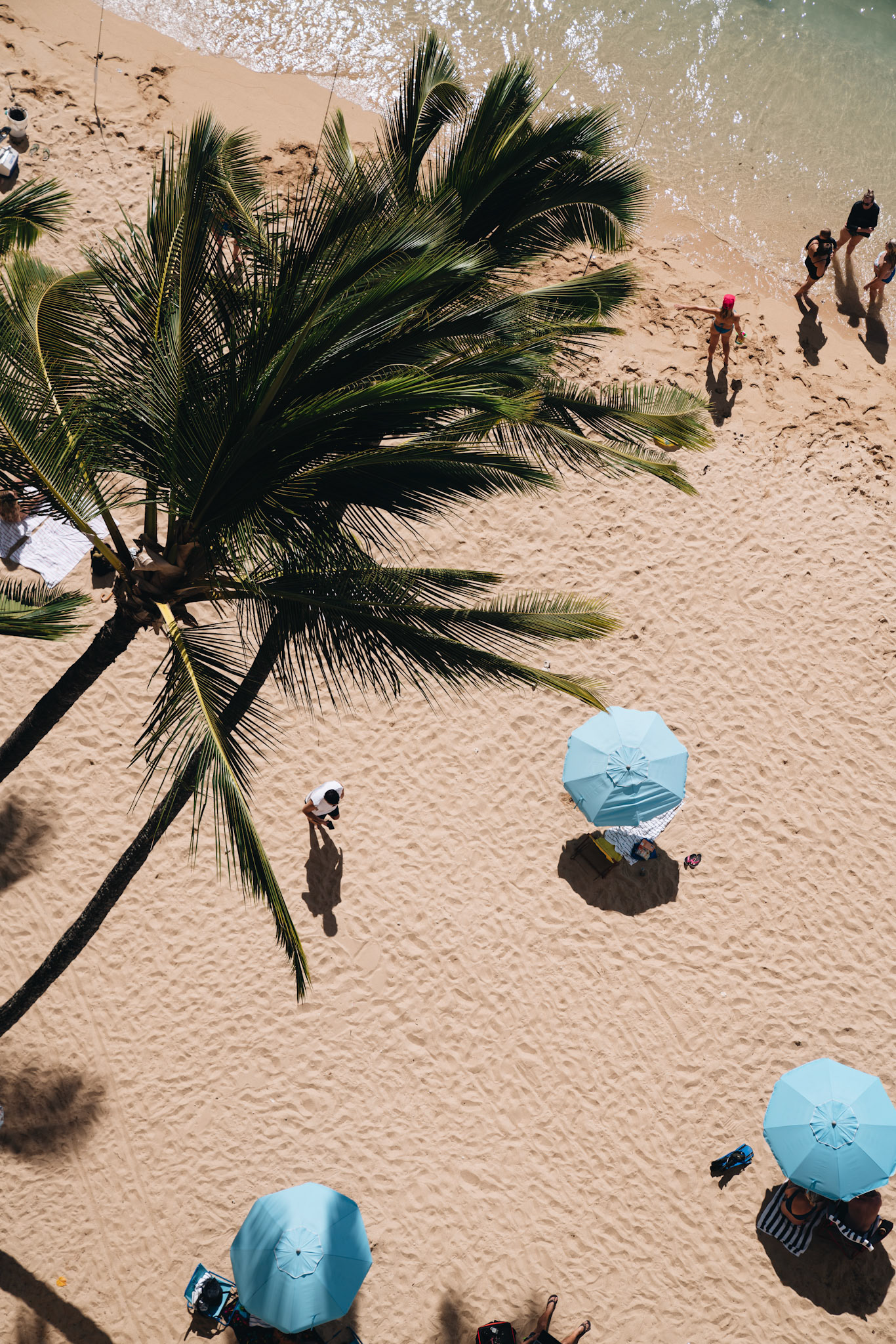 Beach with Umbrellas &amp; Palm Tree