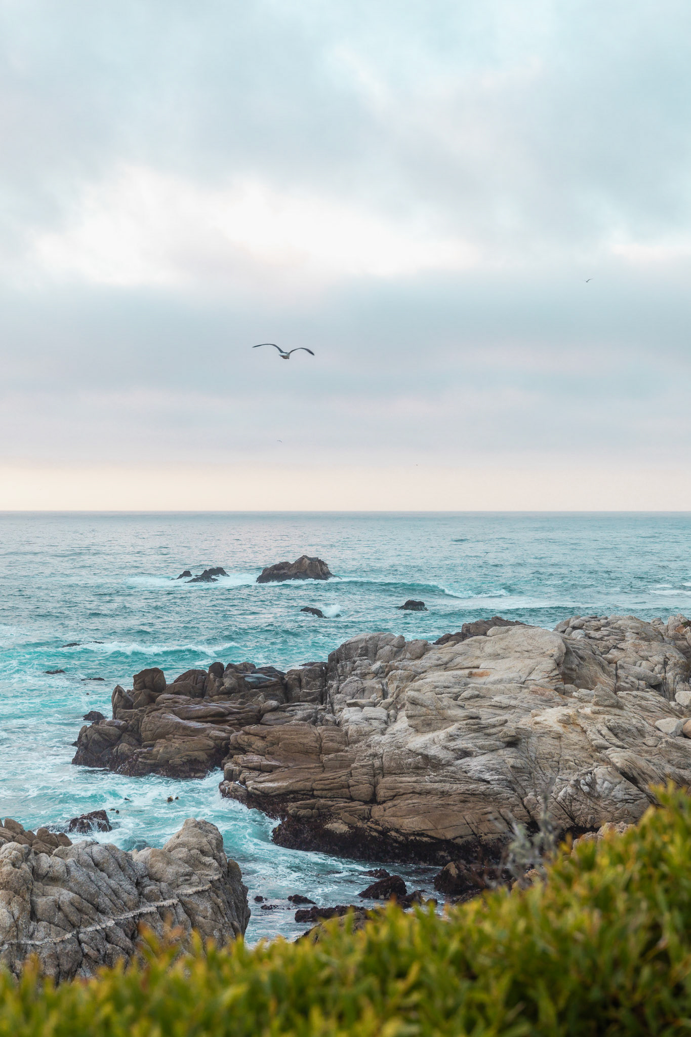 OceanView with Rocks &amp; Birds