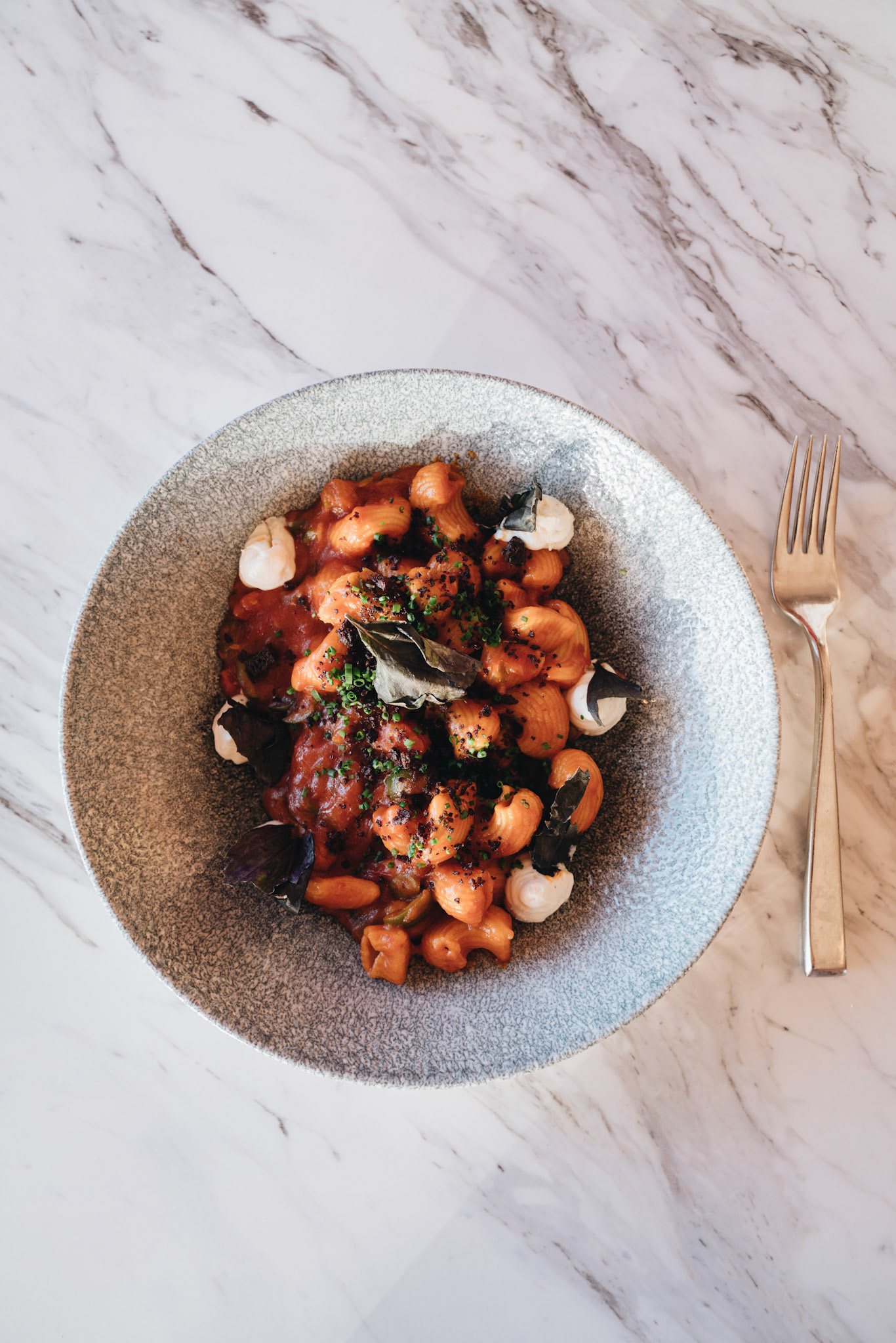 Pasta Dish on Gray Plate