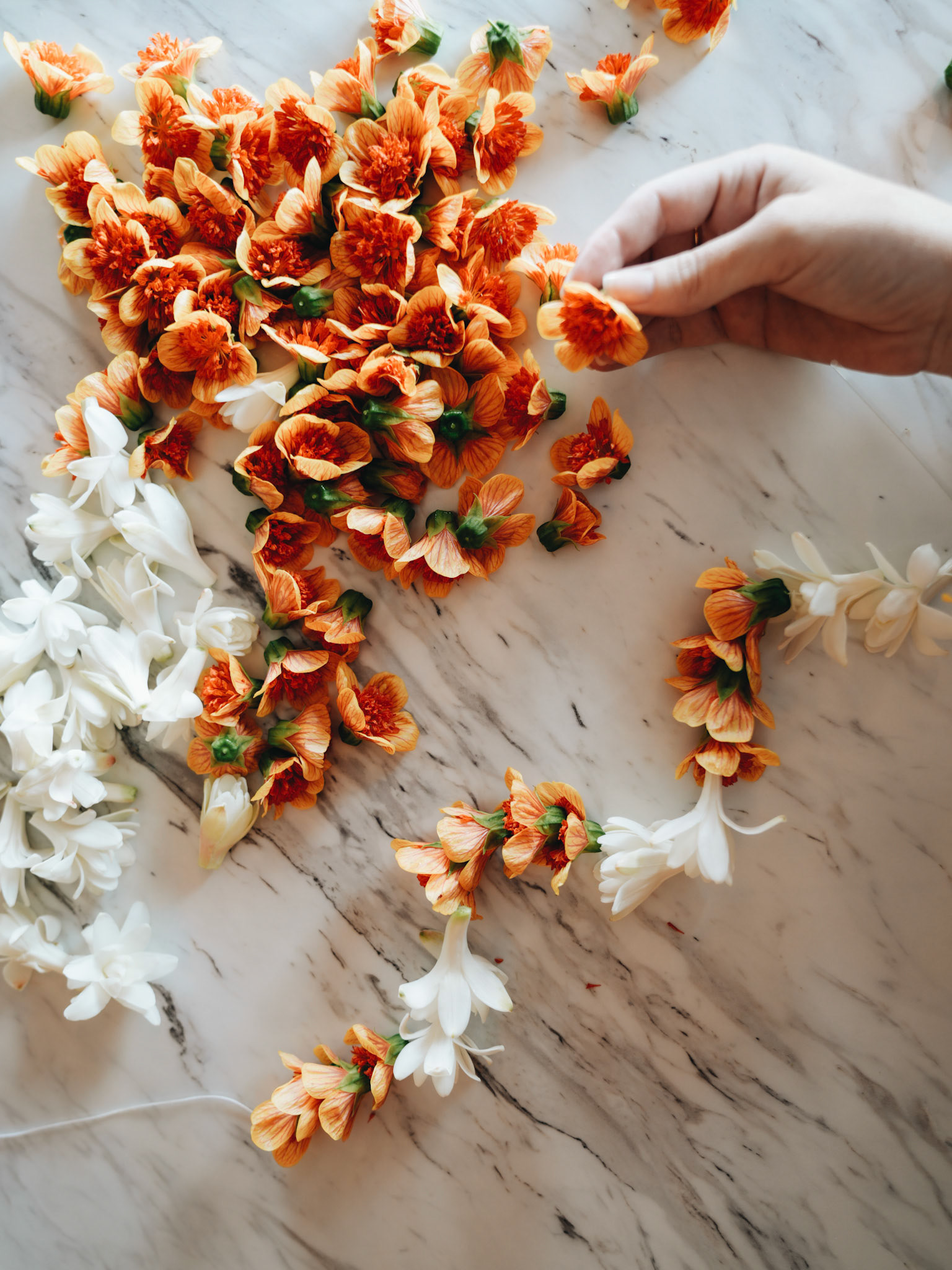 Arranging Orange &amp; White Flowers