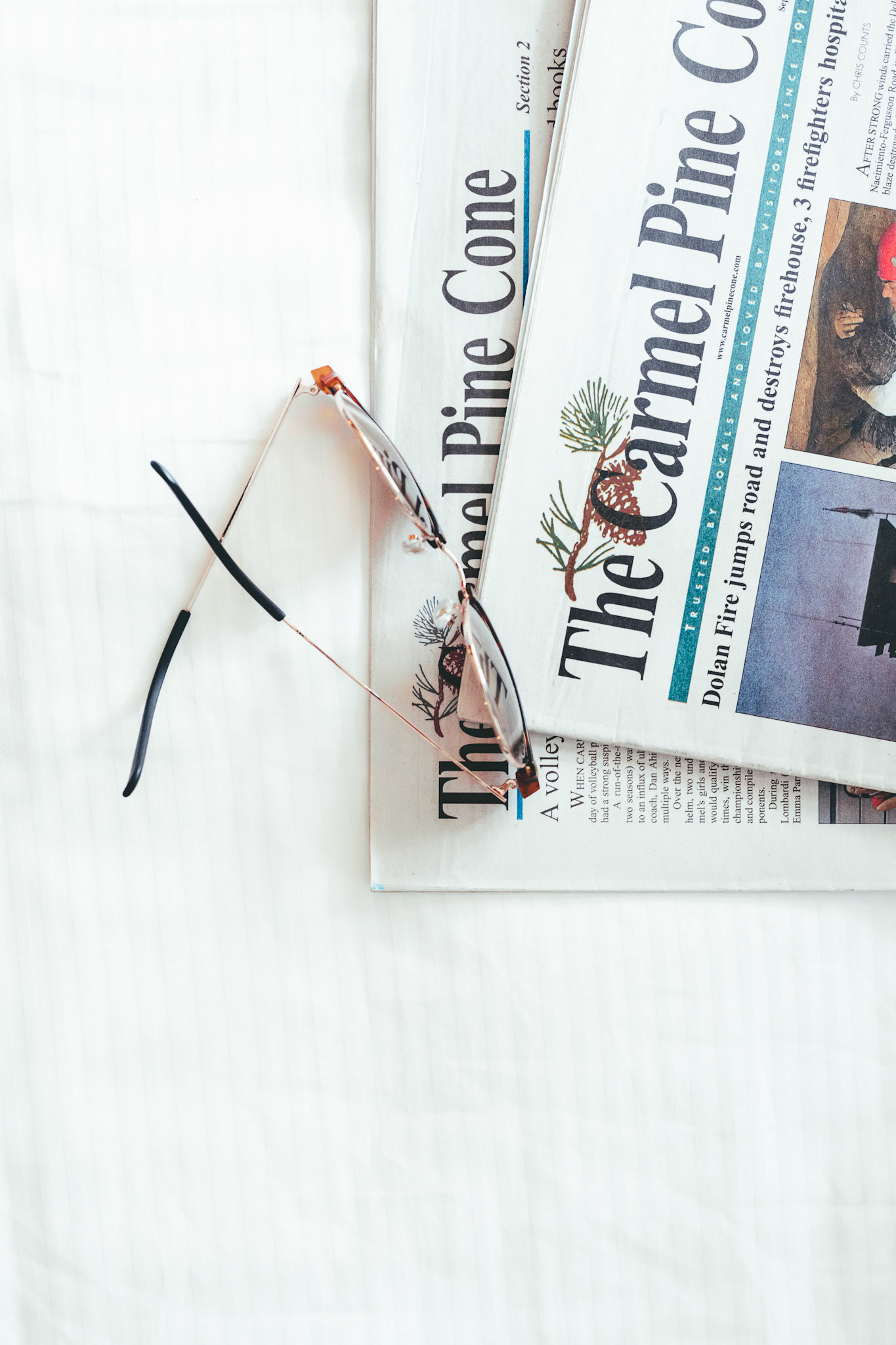 Carmel Pinecone Sunglasses on Newspapers 3