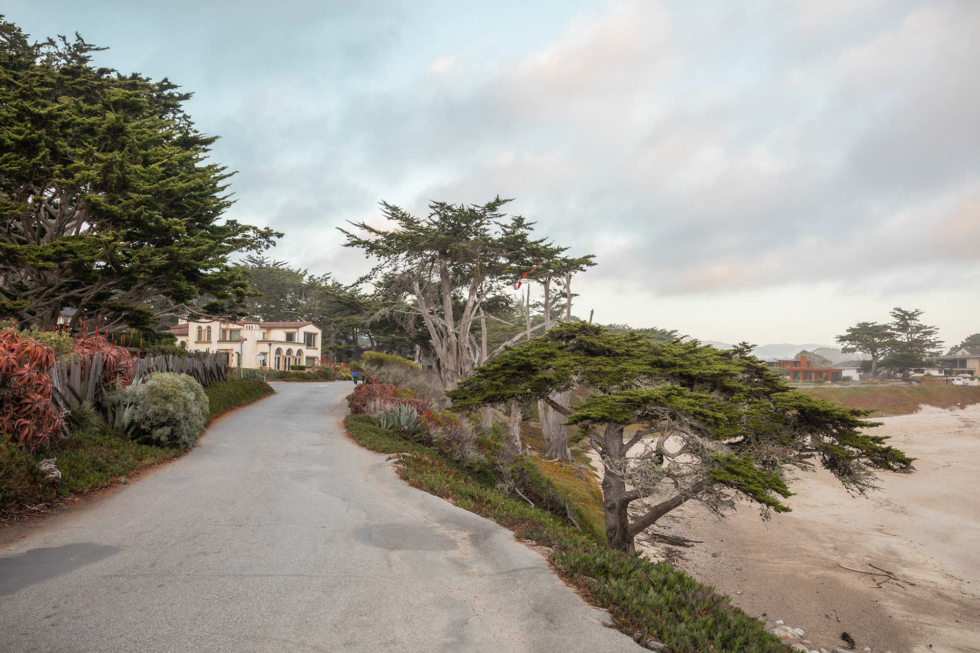 CoastalRoad with Trees &amp; Houses
