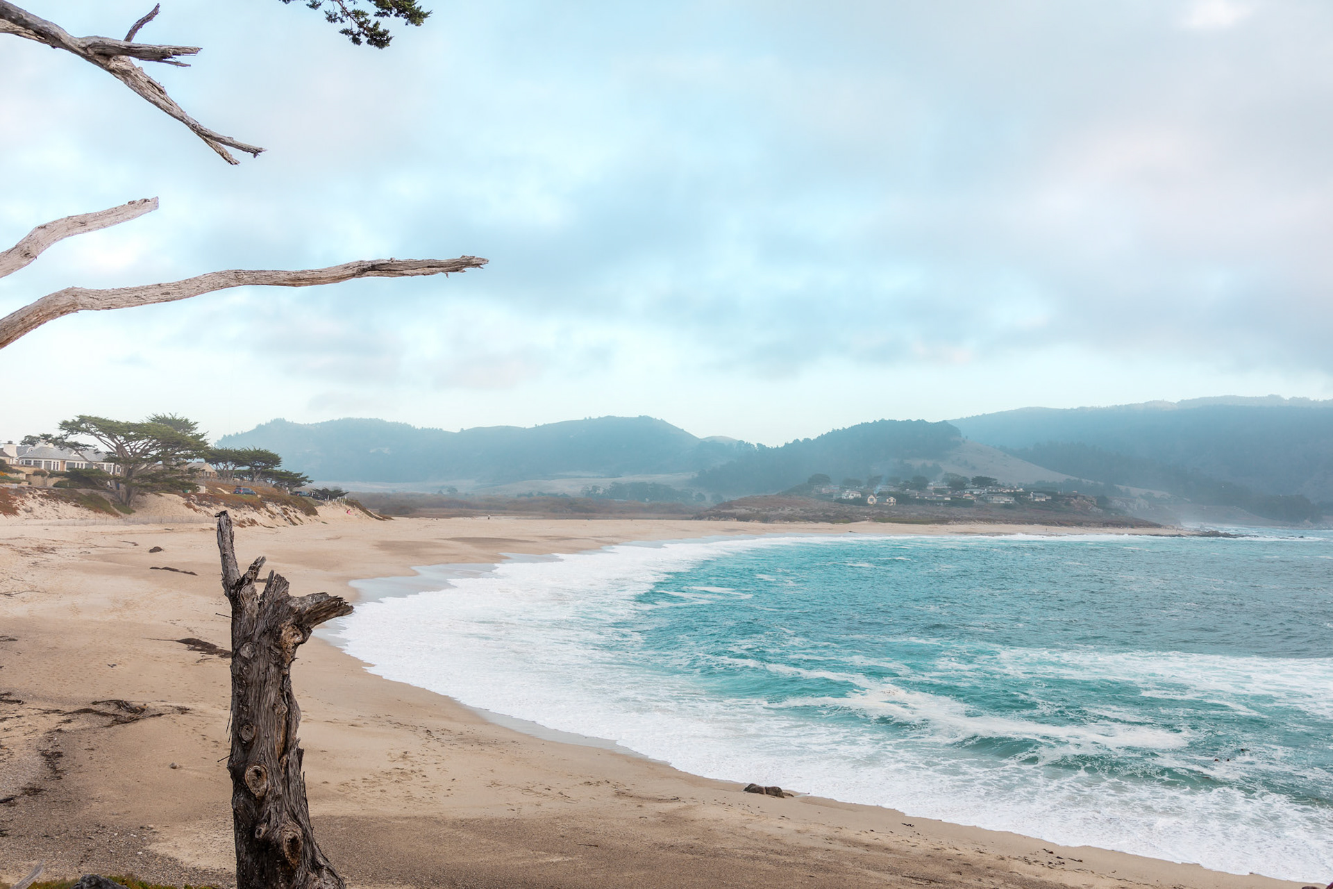 EmptyBeach with Driftwood &amp; Hills