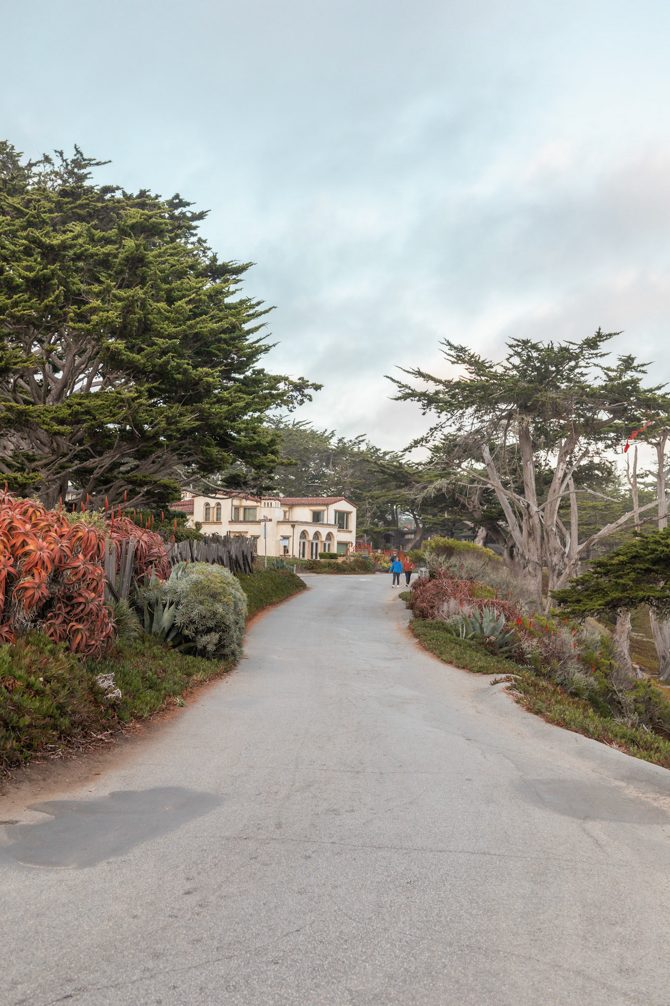 Houseon Winding Road with Trees