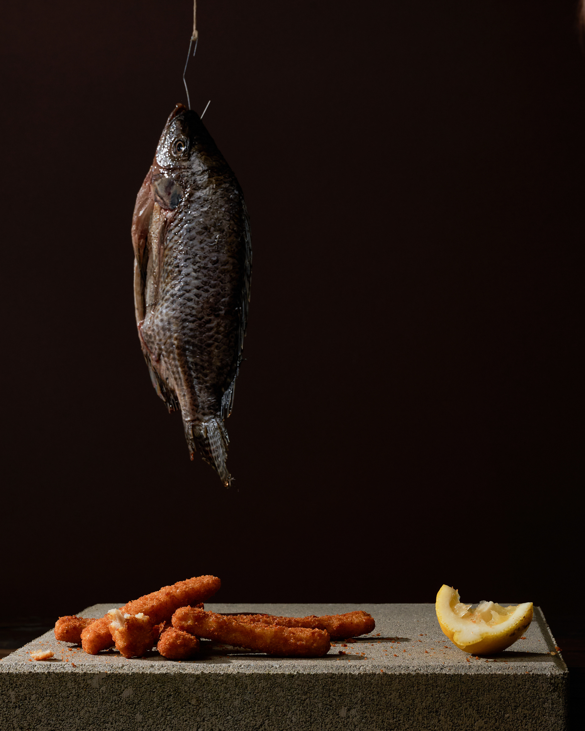 American Bodegónes Fish Sticks ©Liz Obert Photography 2025