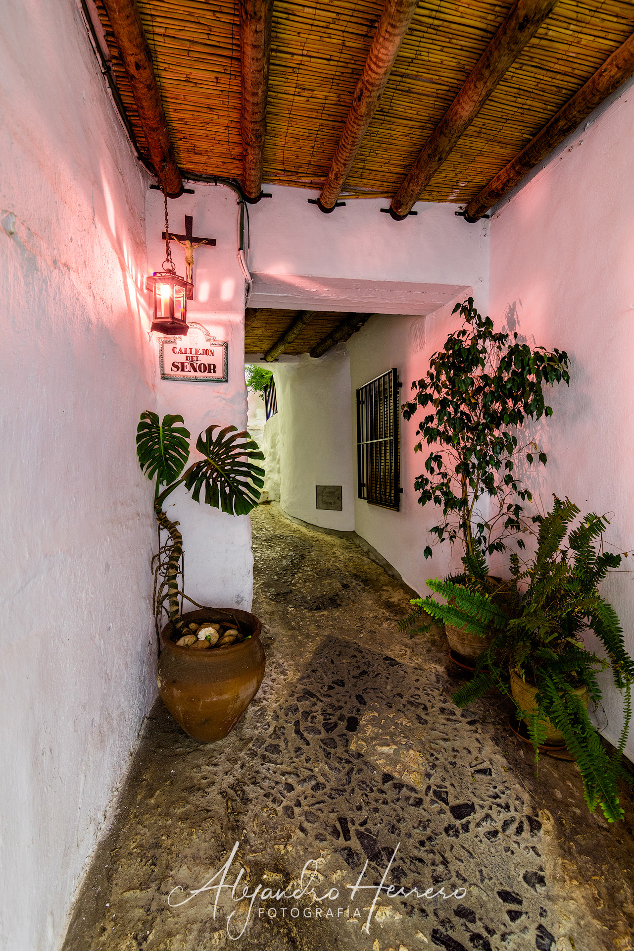 Callejón del Señor