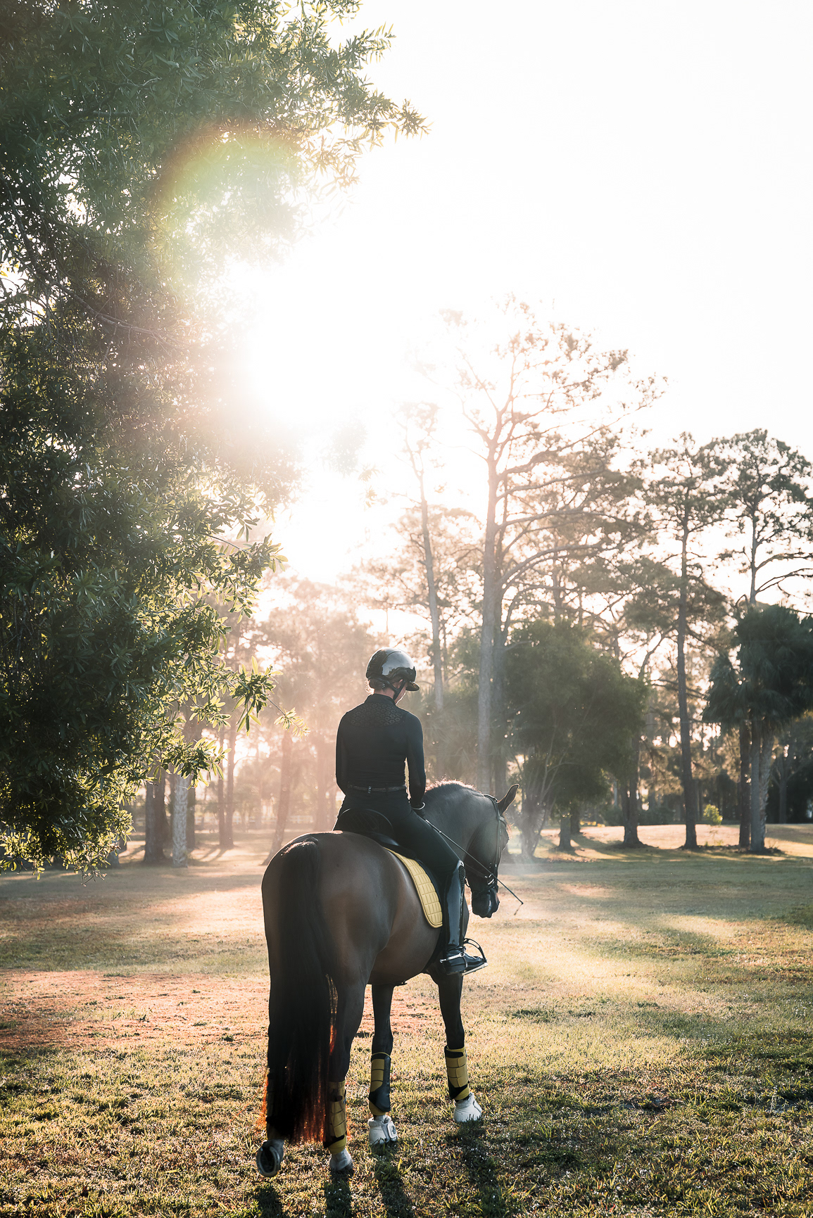 LEAH JEFFREY - LUXURY DRESSAGE