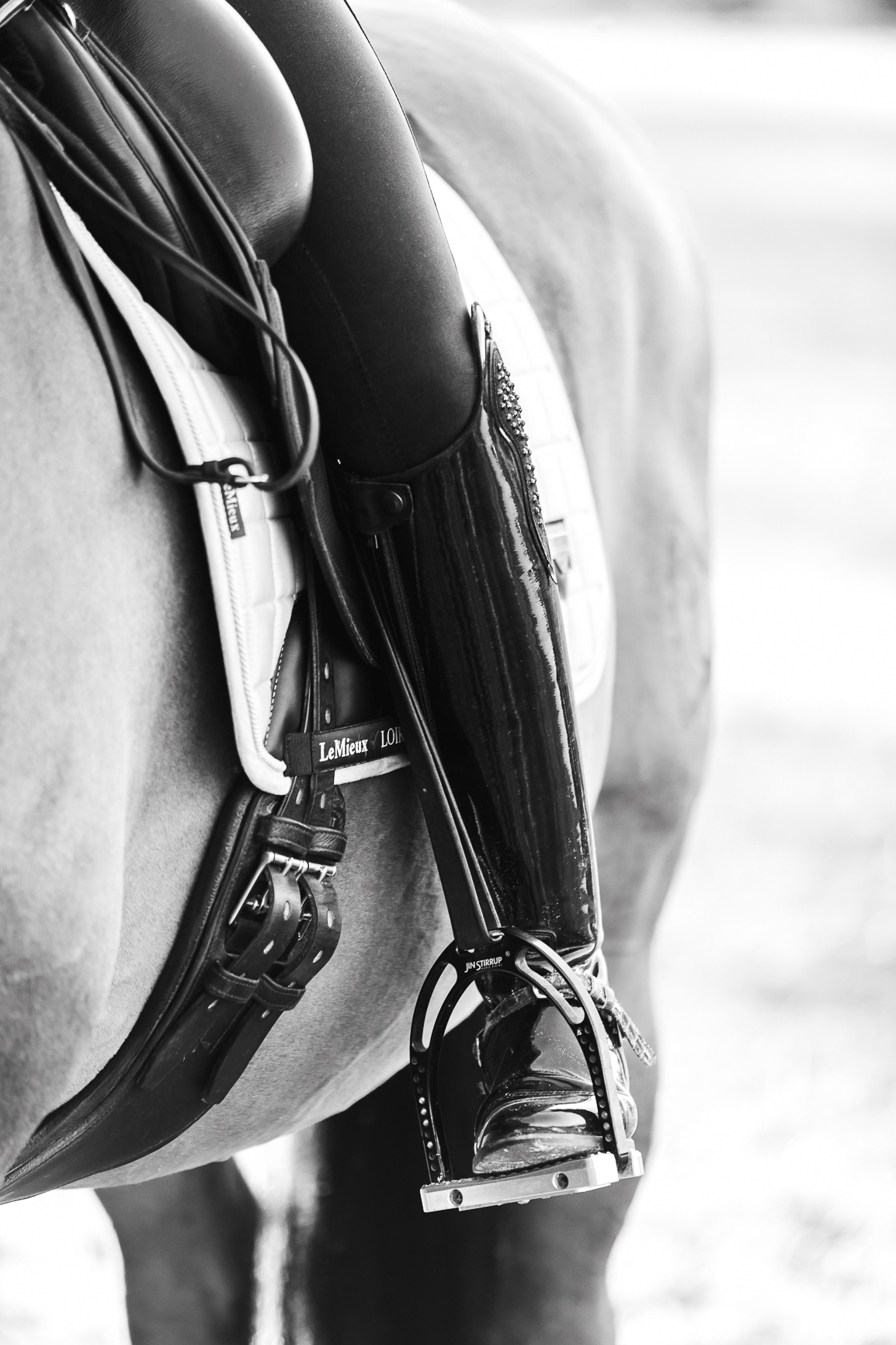 LEAH JEFFREY - LUXURY DRESSAGE