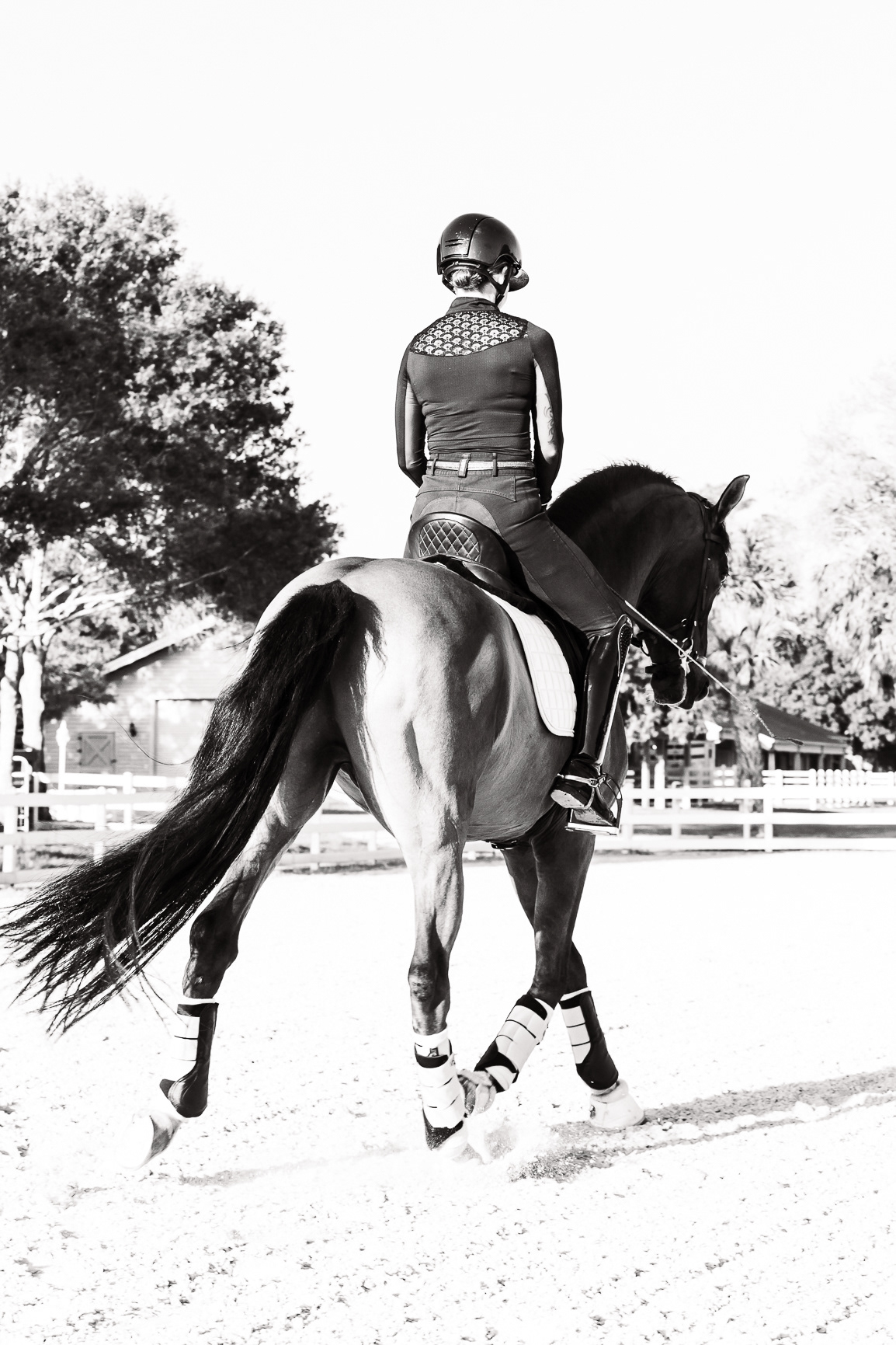 LEAH JEFFREY - LUXURY DRESSAGE