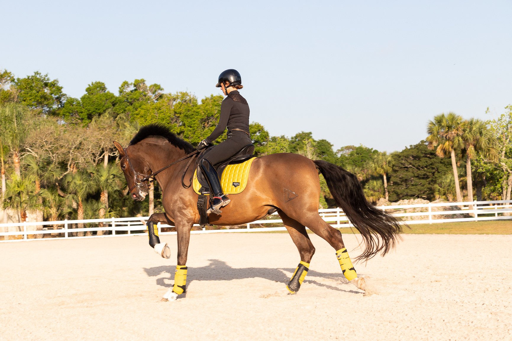 LEAH JEFFREY - LUXURY DRESSAGE