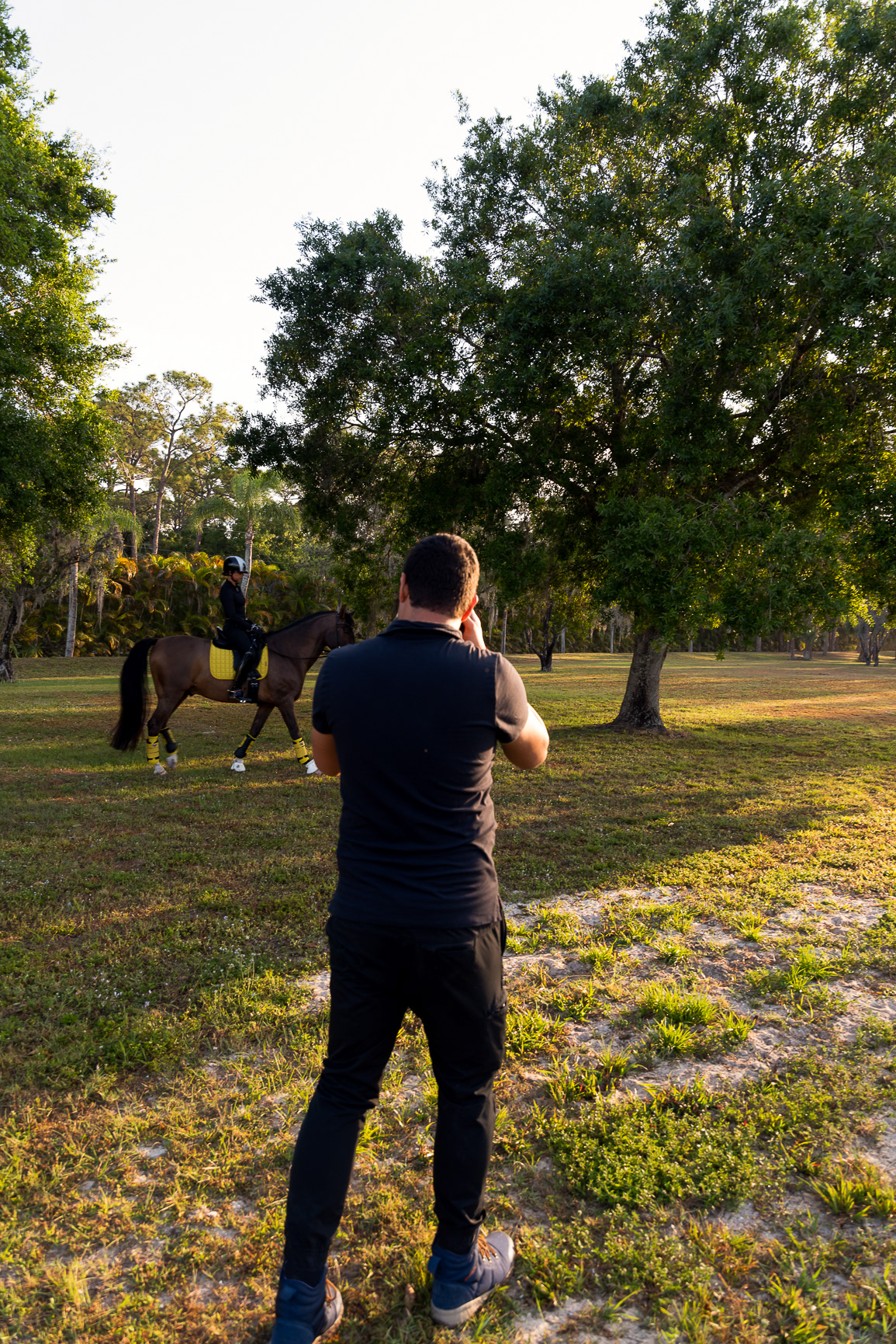 HORSE WALKING