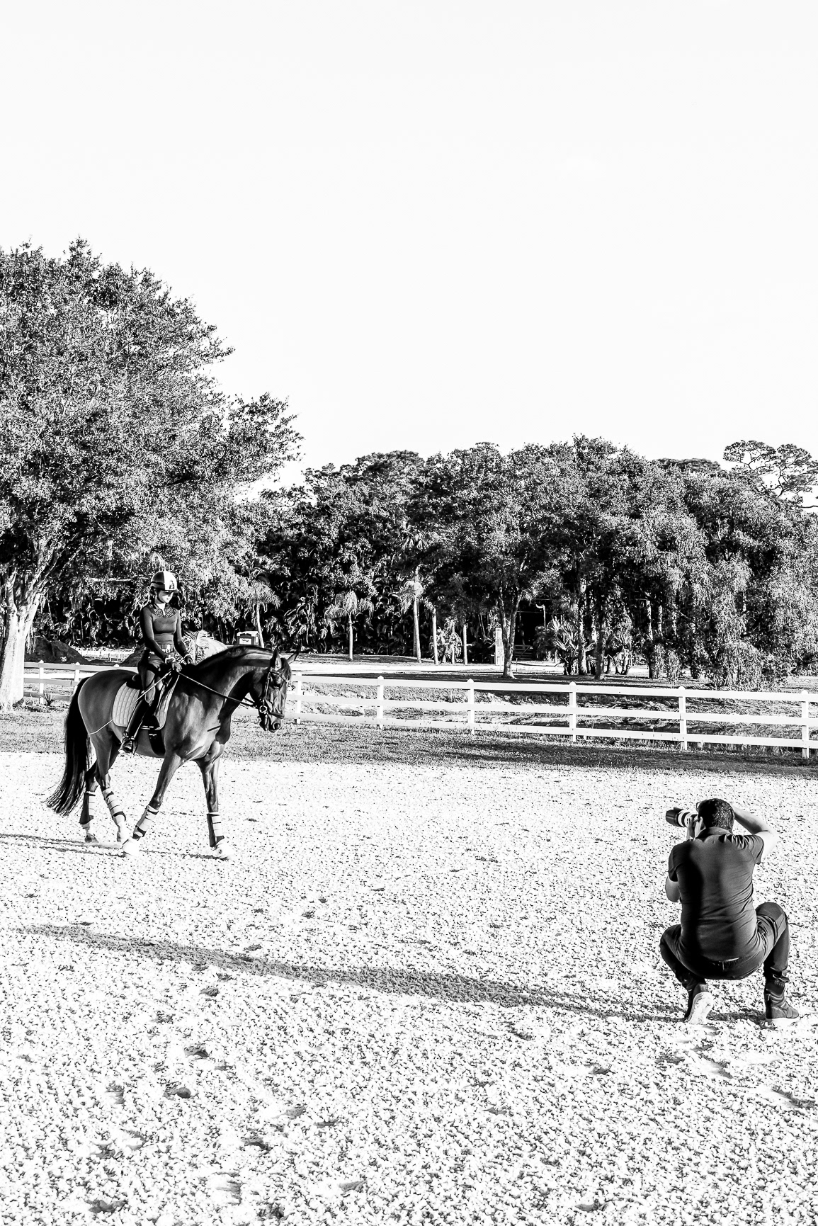 HORSE WALKING