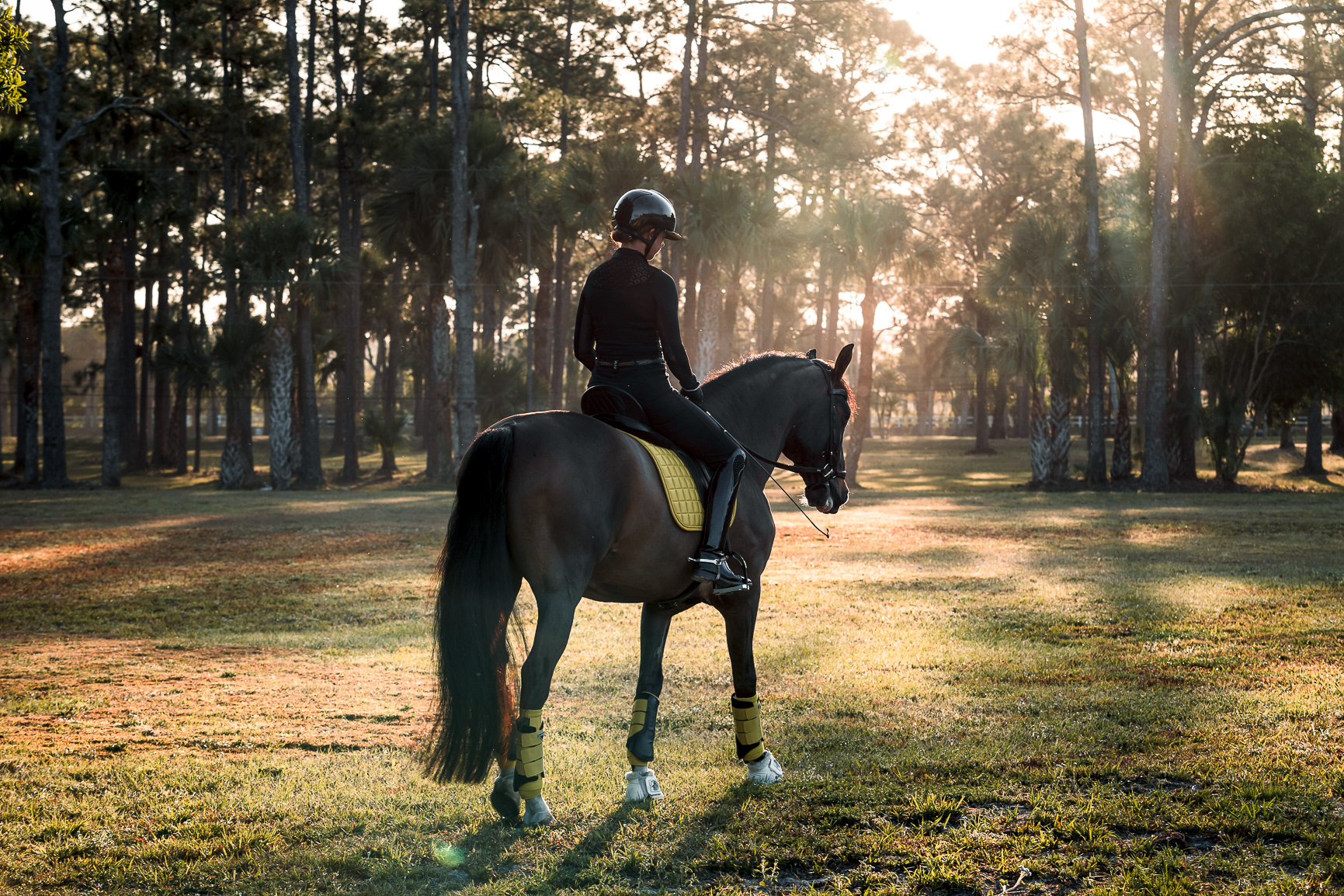 LEAH JEFFREY - LUXURY DRESSAGE
