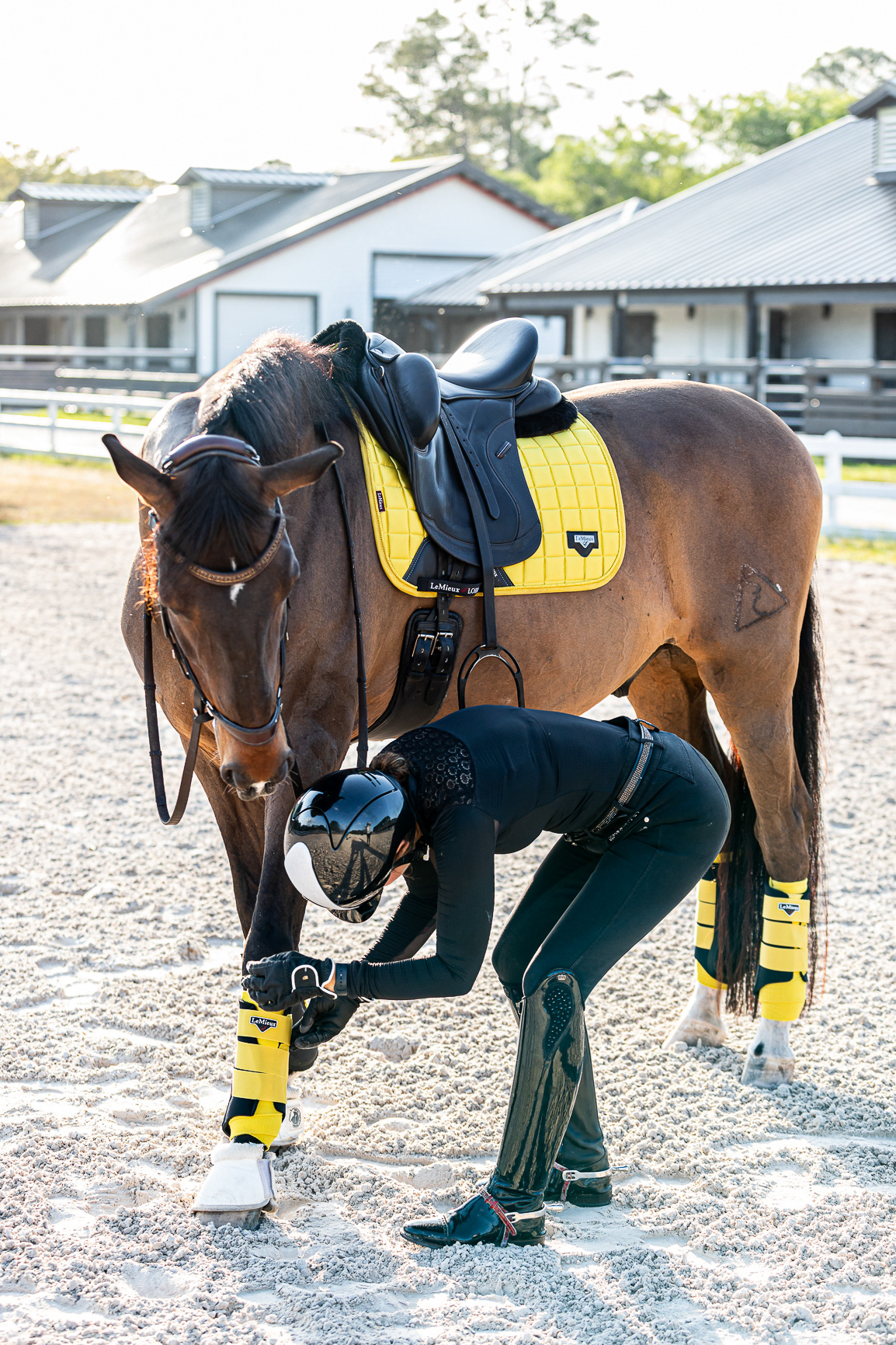 LEAH JEFFREY - LUXURY DRESSAGE