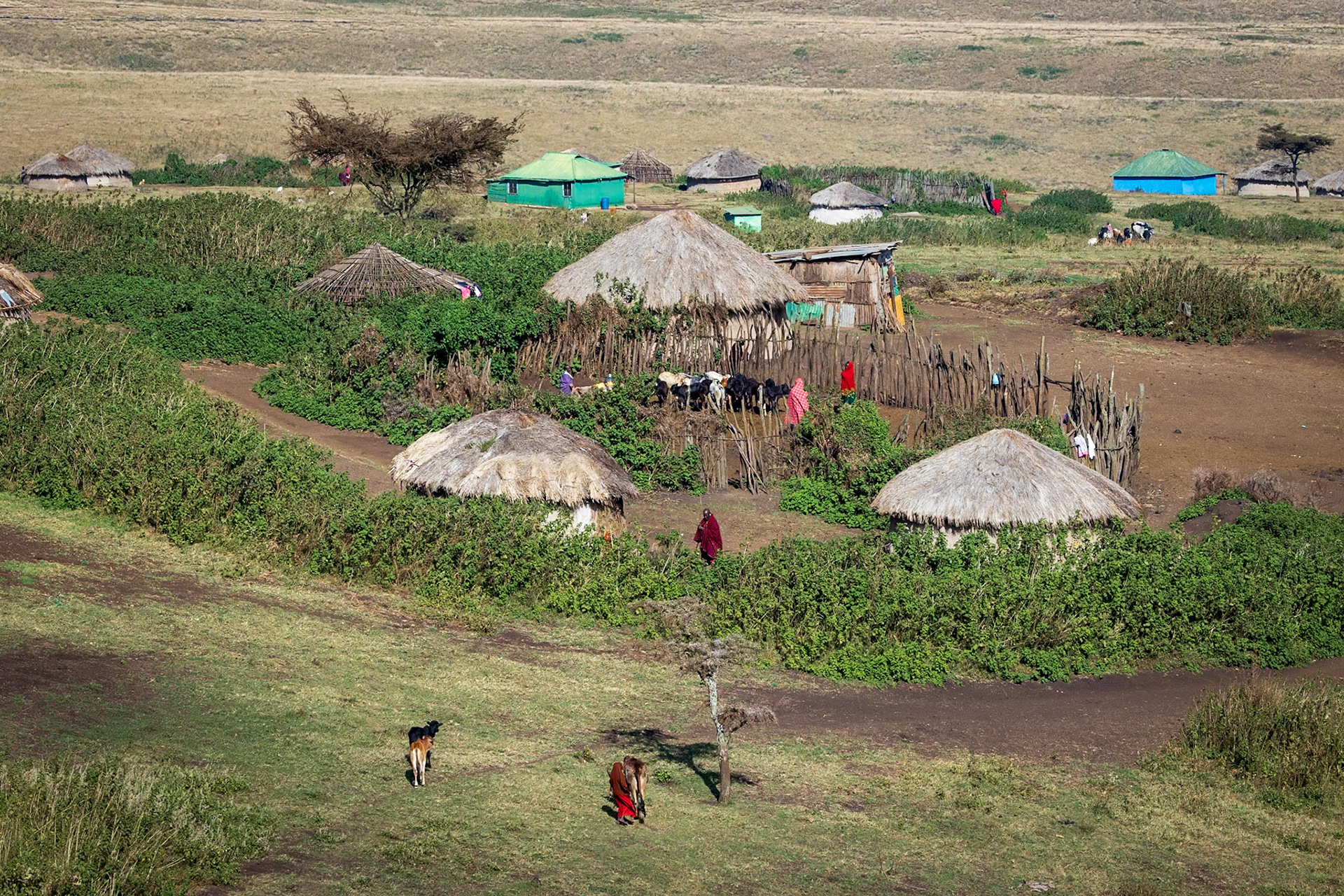 A Maasai village