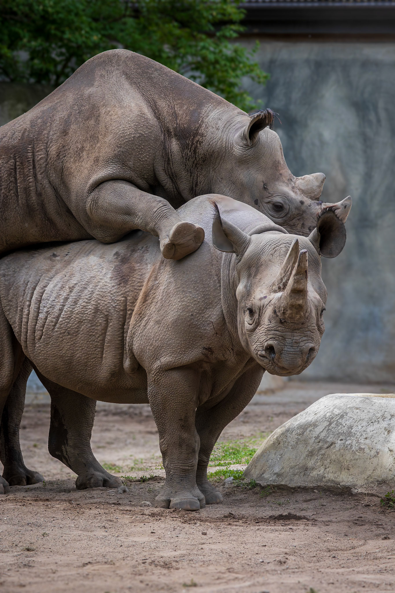 This pair had a baby in 2019 that now lives in California.