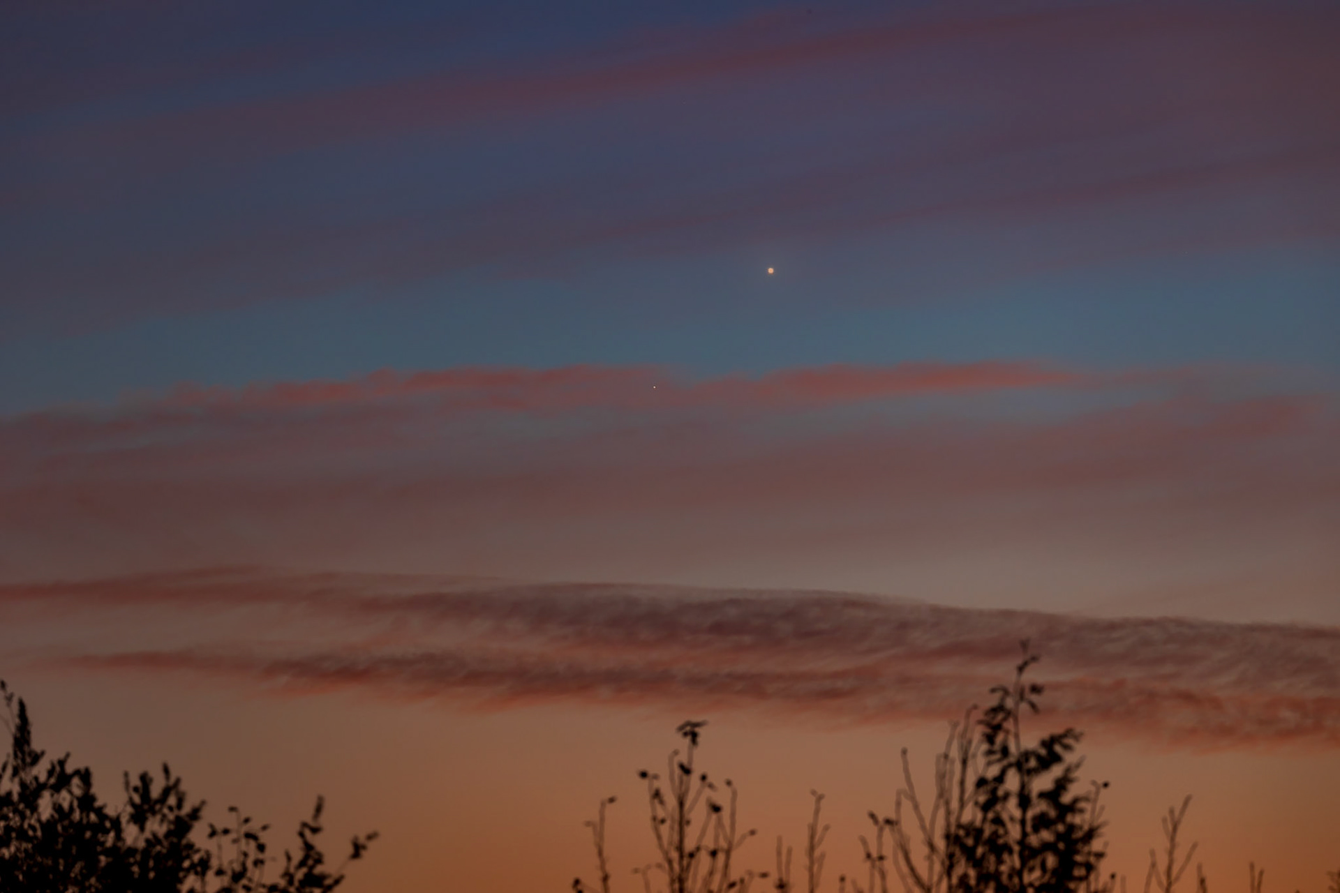 Venus
