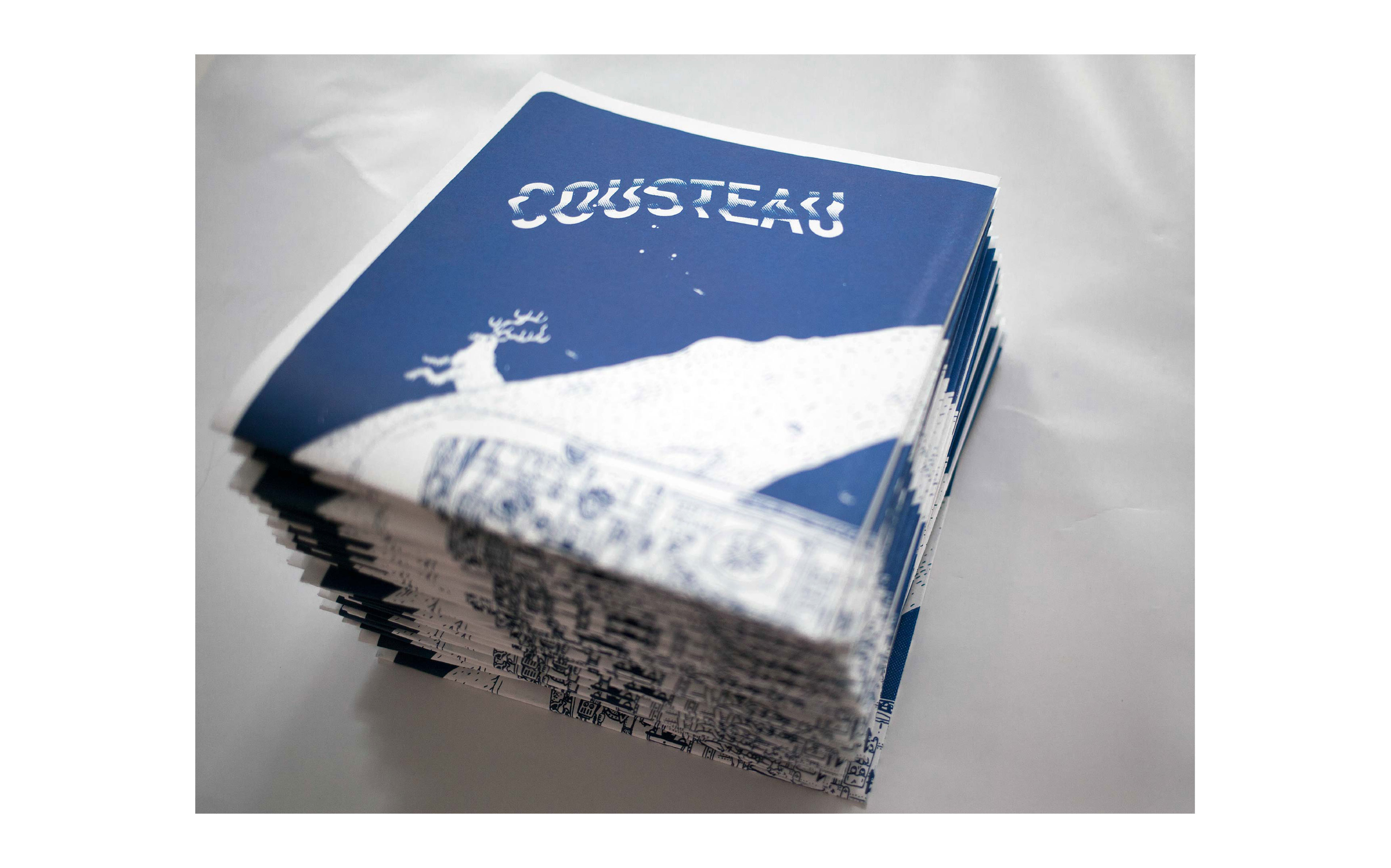 Cousteau poster siebdruck plakat gefaltet