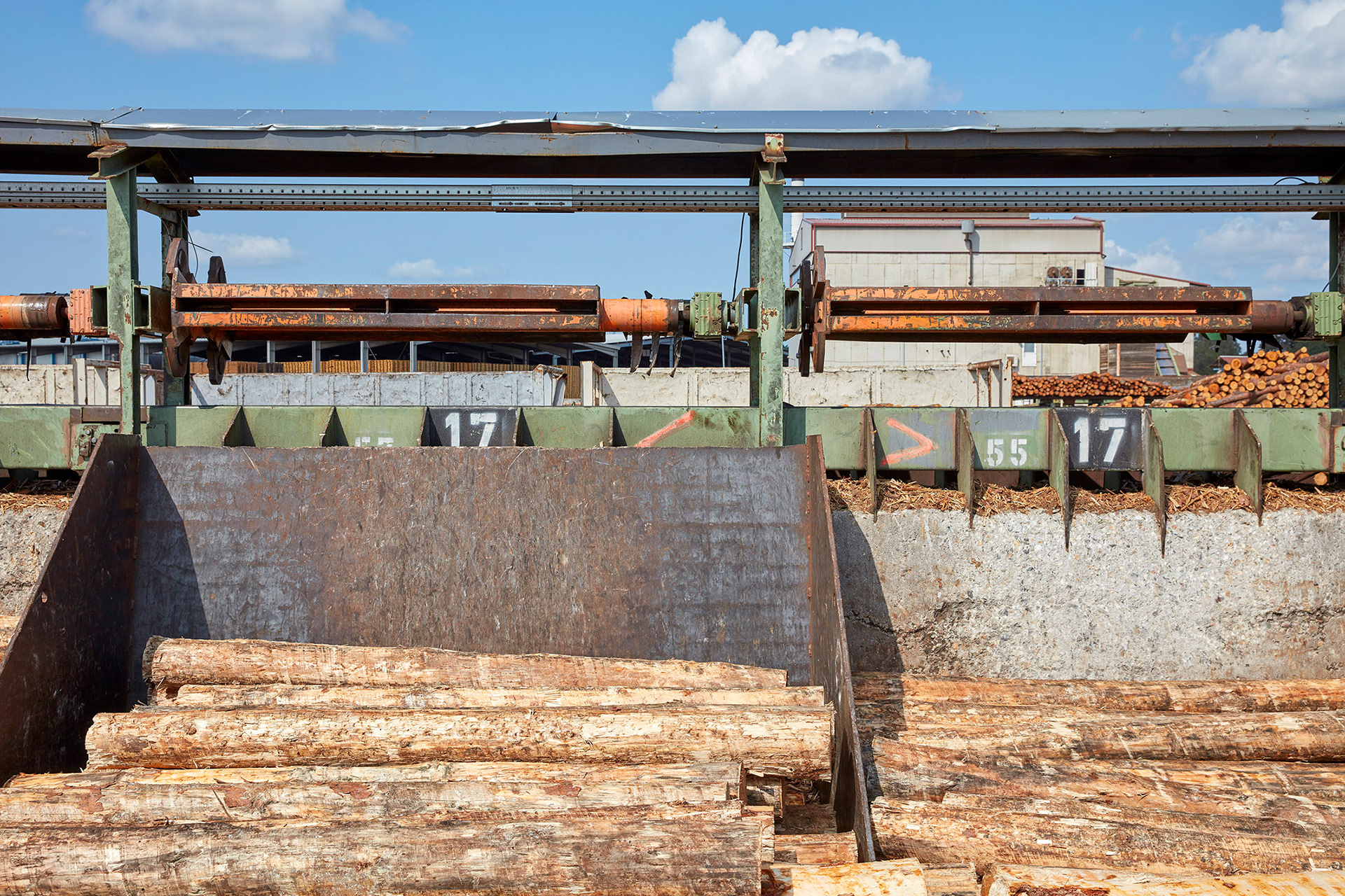 Holzstämme zum Entrinden und säubern. Logs for debarking and cleaning.