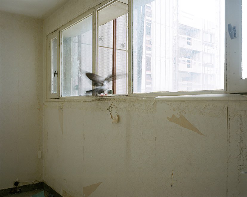 ©Laure Vasconi
