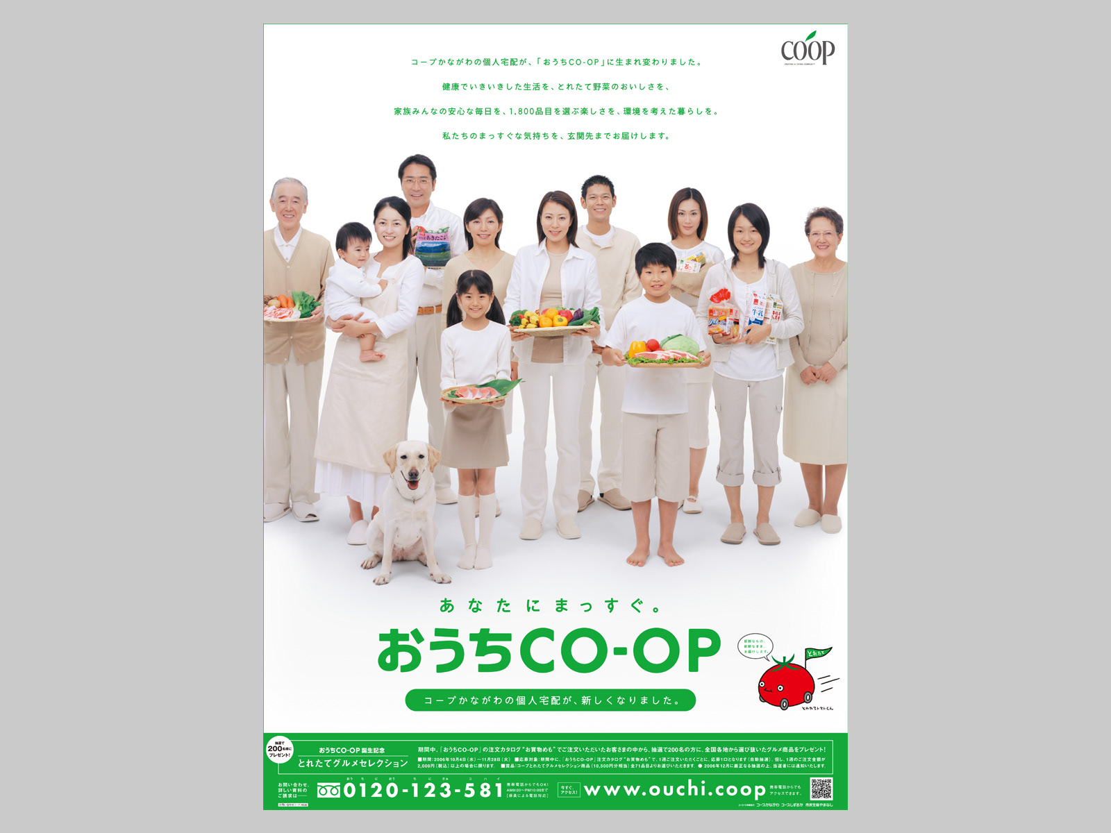 新聞広告（全15段）