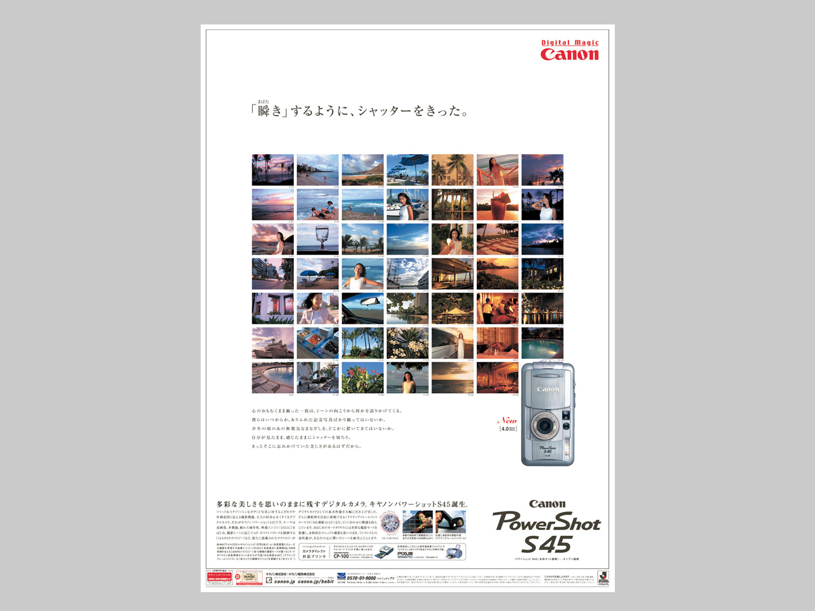 新聞広告（全15段）