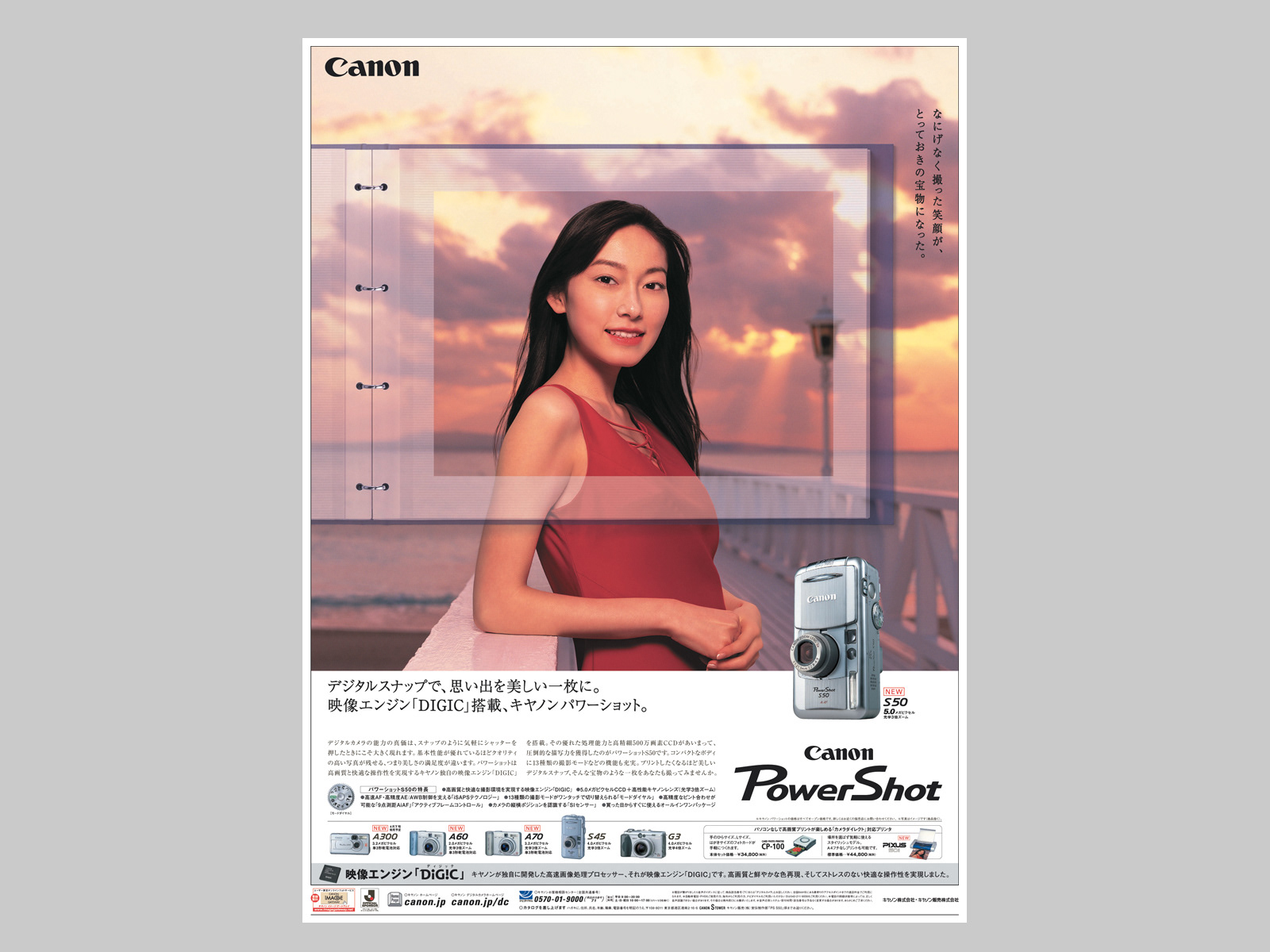 新聞広告（全15段）