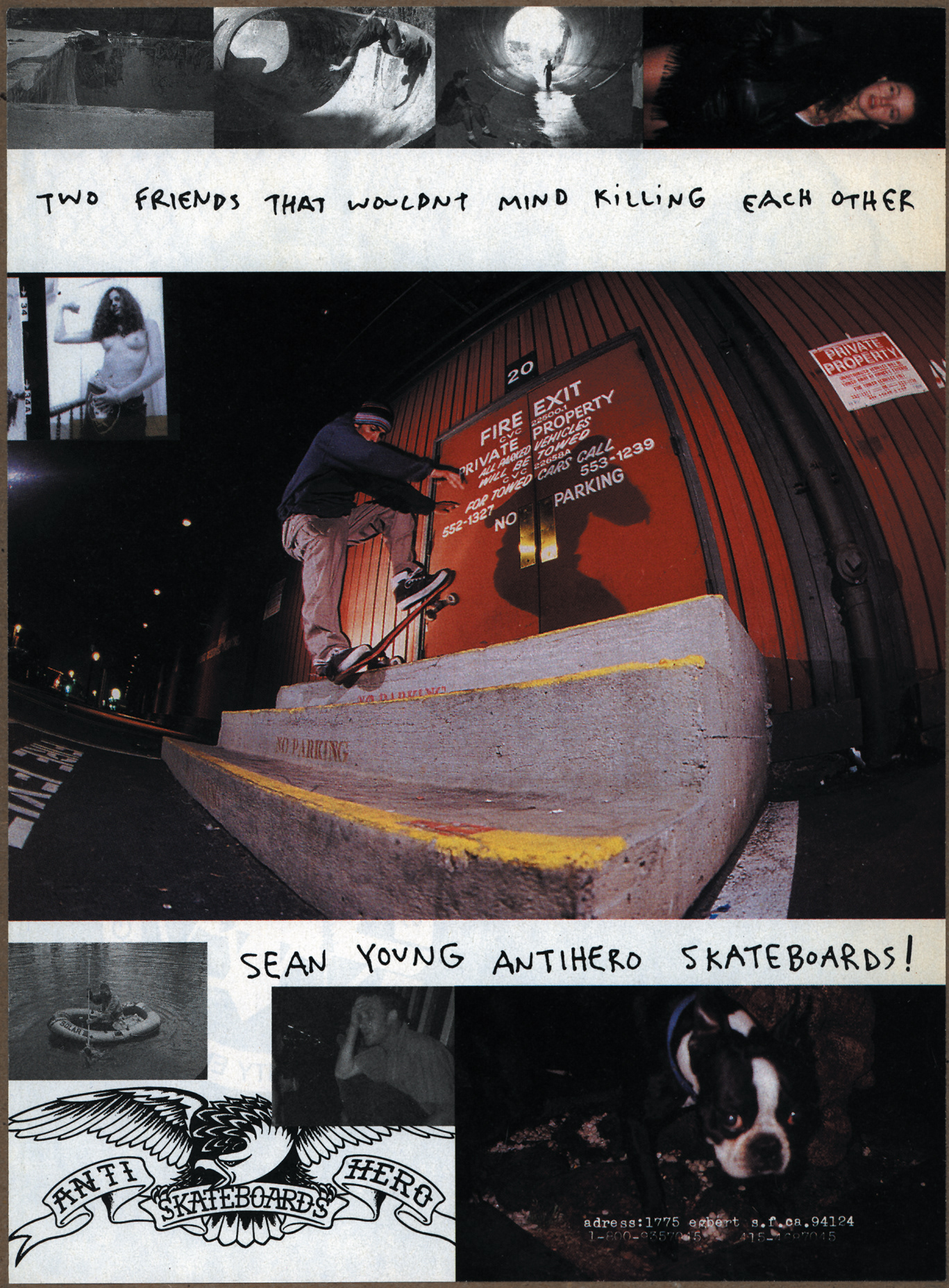 Antihero Skateboards Sean Young