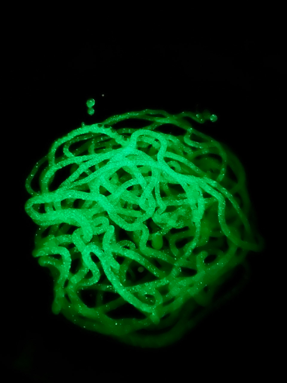 glow in the dark sodium alginate bioplastic yarn