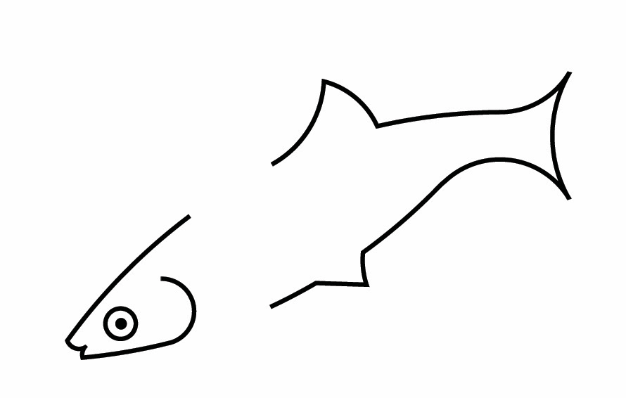 silverjaw minnow