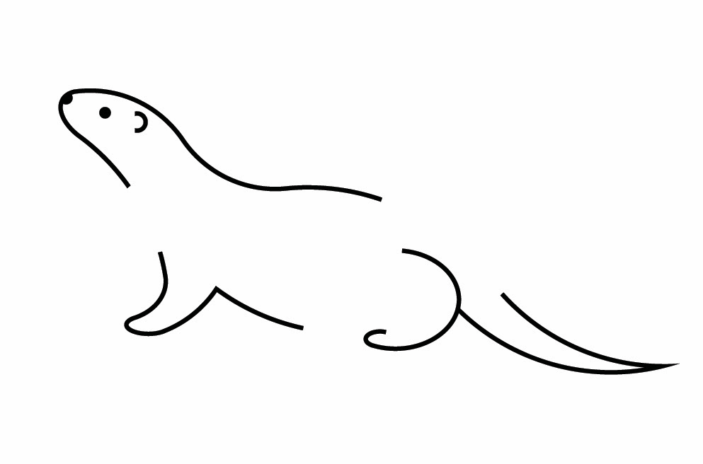 north american river otter