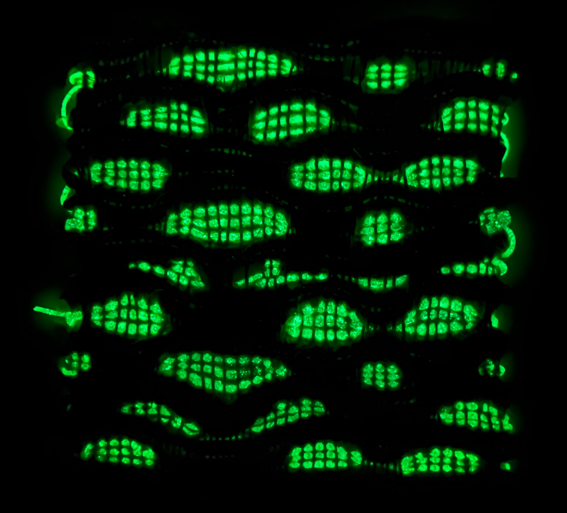 glowing bioplastic yarn