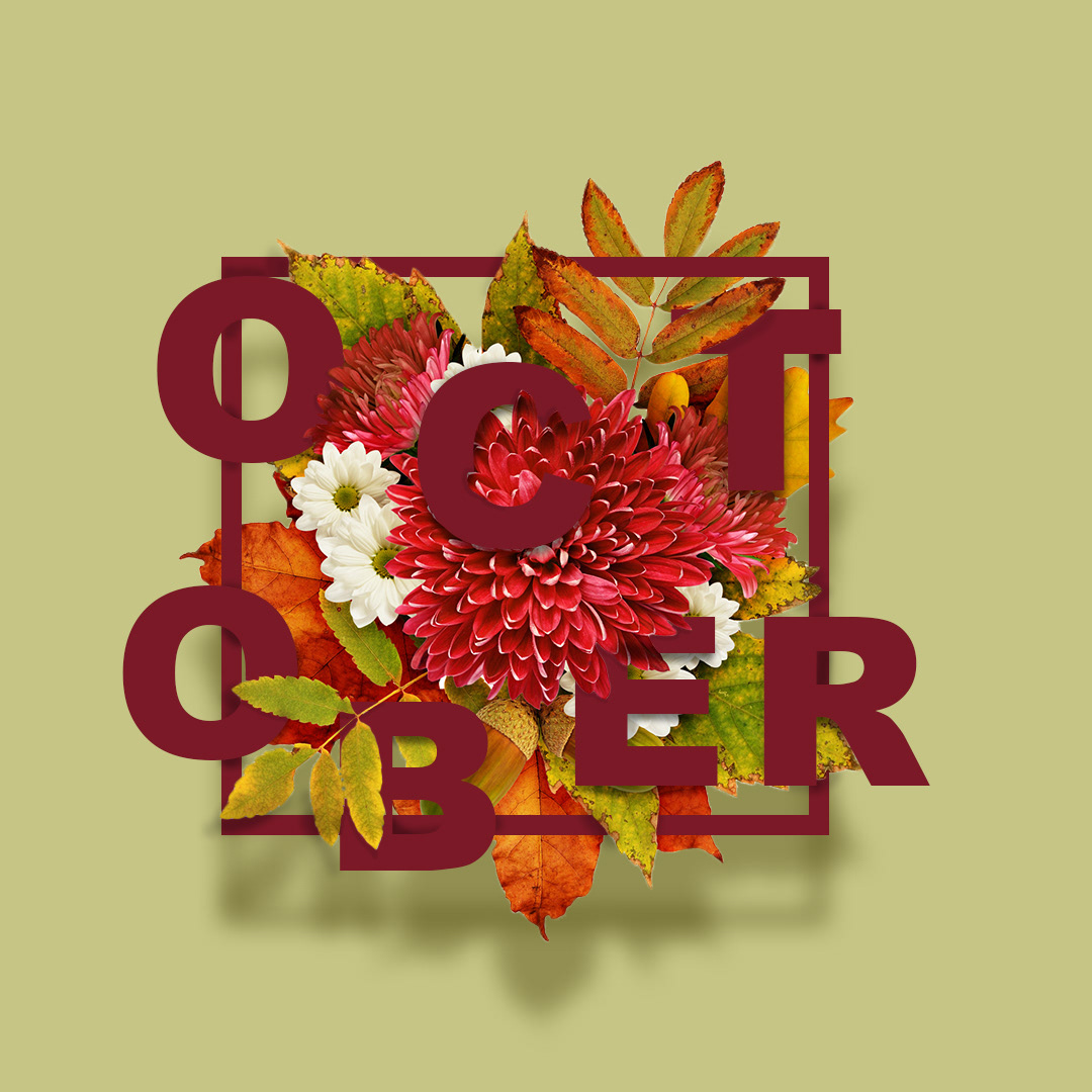 Typography