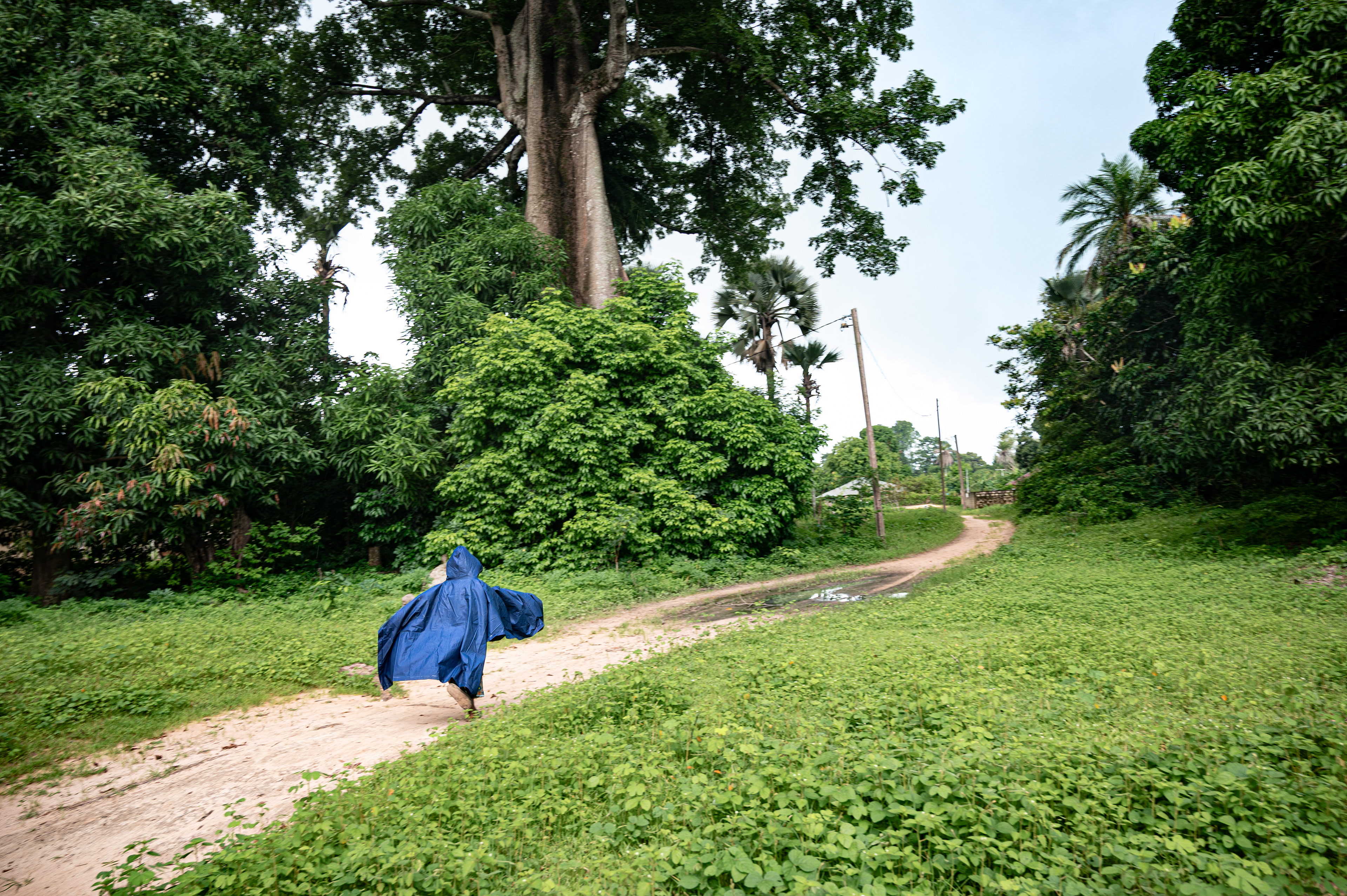 Young girl runs under the falling rain during the rainy season in Sengalene village, Casamance region, Senegal. August 15, 2026.