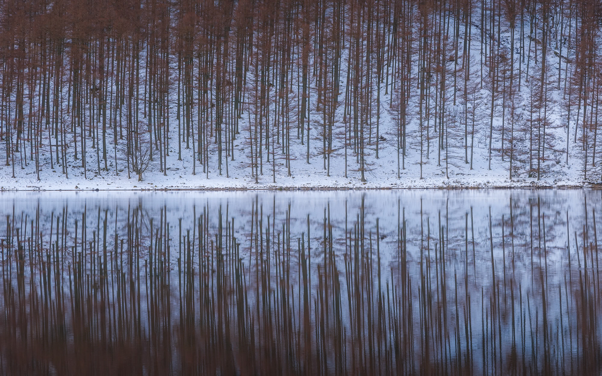 Buttermere Reflection