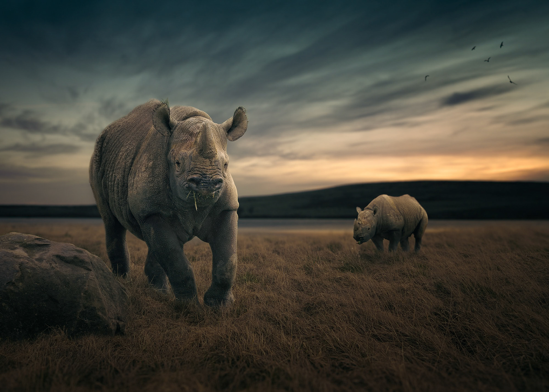 At The Watering Hole