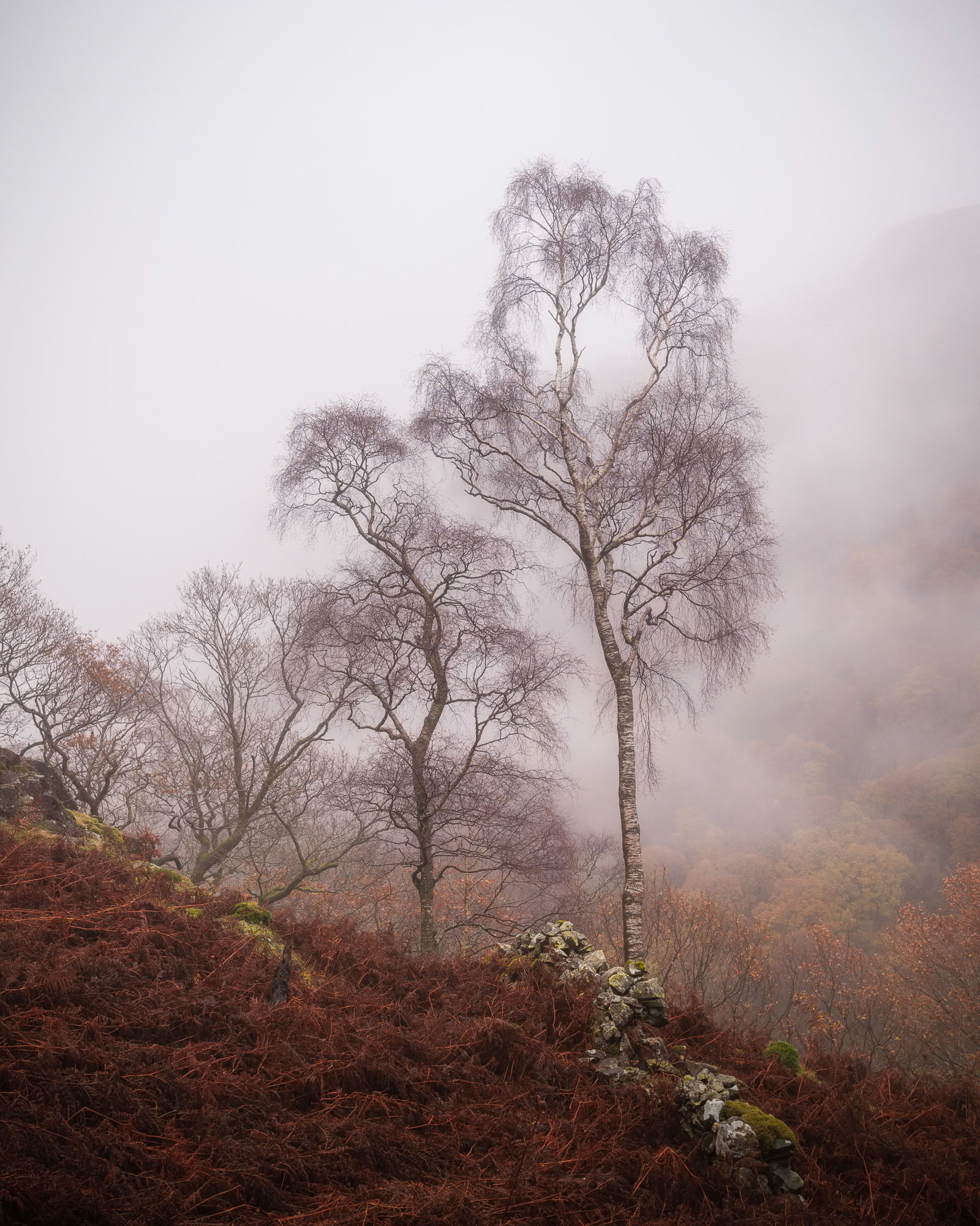 Below King's How