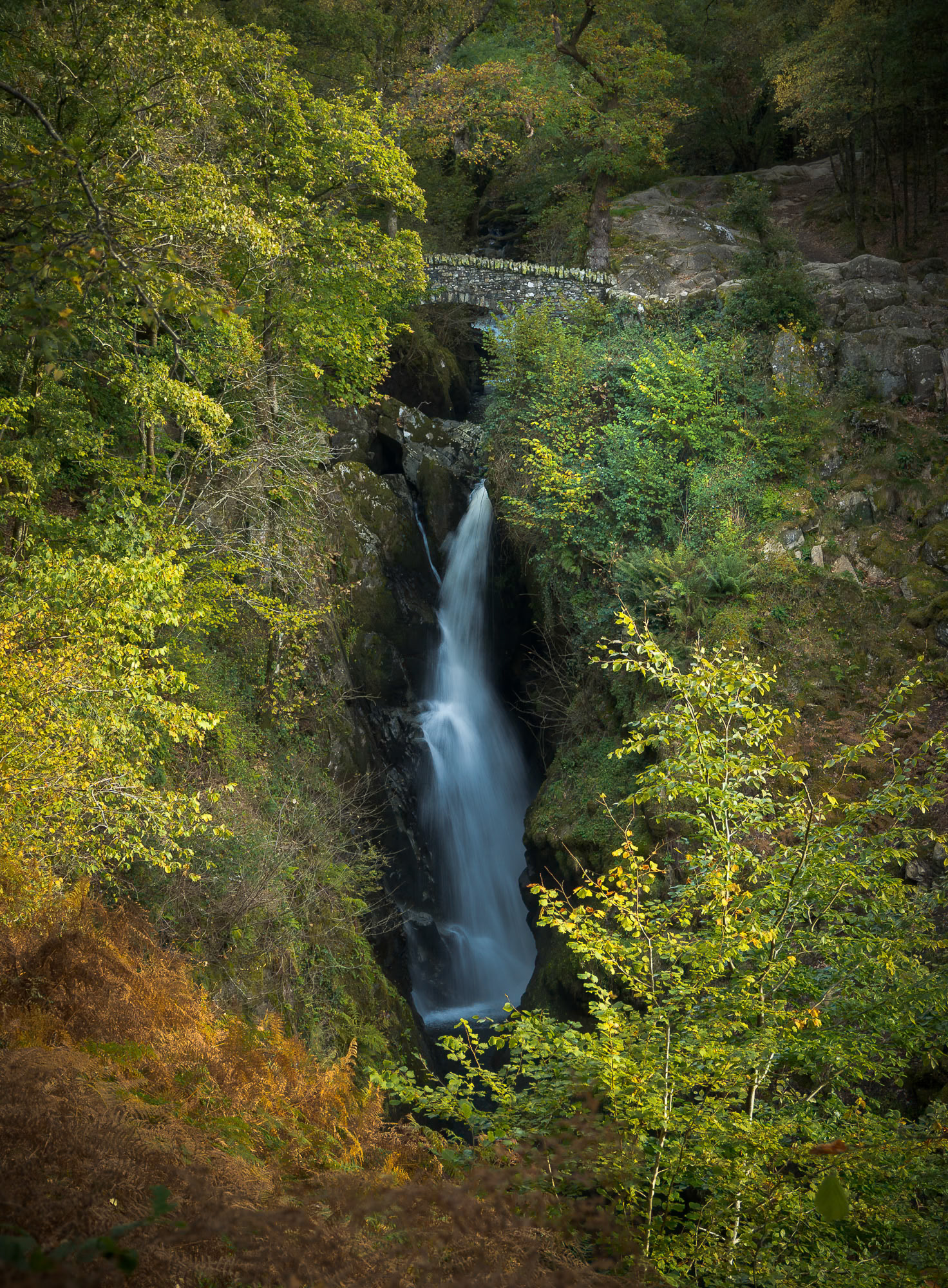 Aira Force