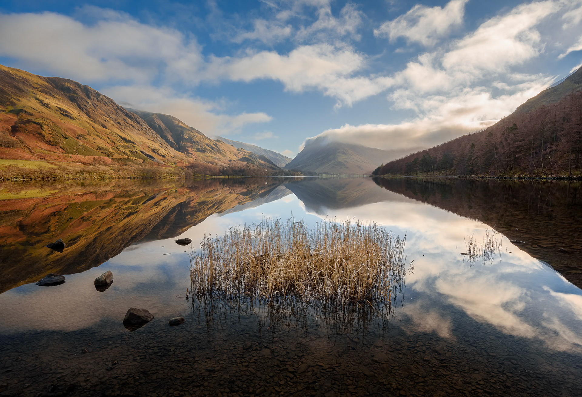 The Placid Lake