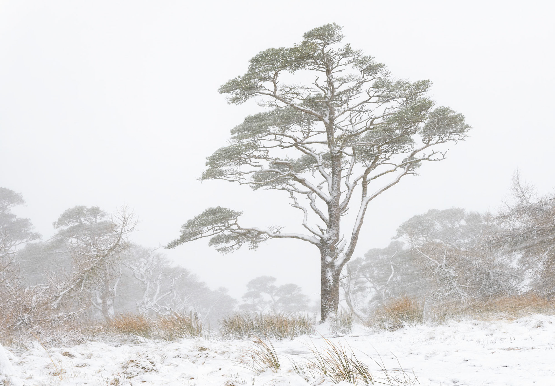 Blizzard On Great Mell Fell