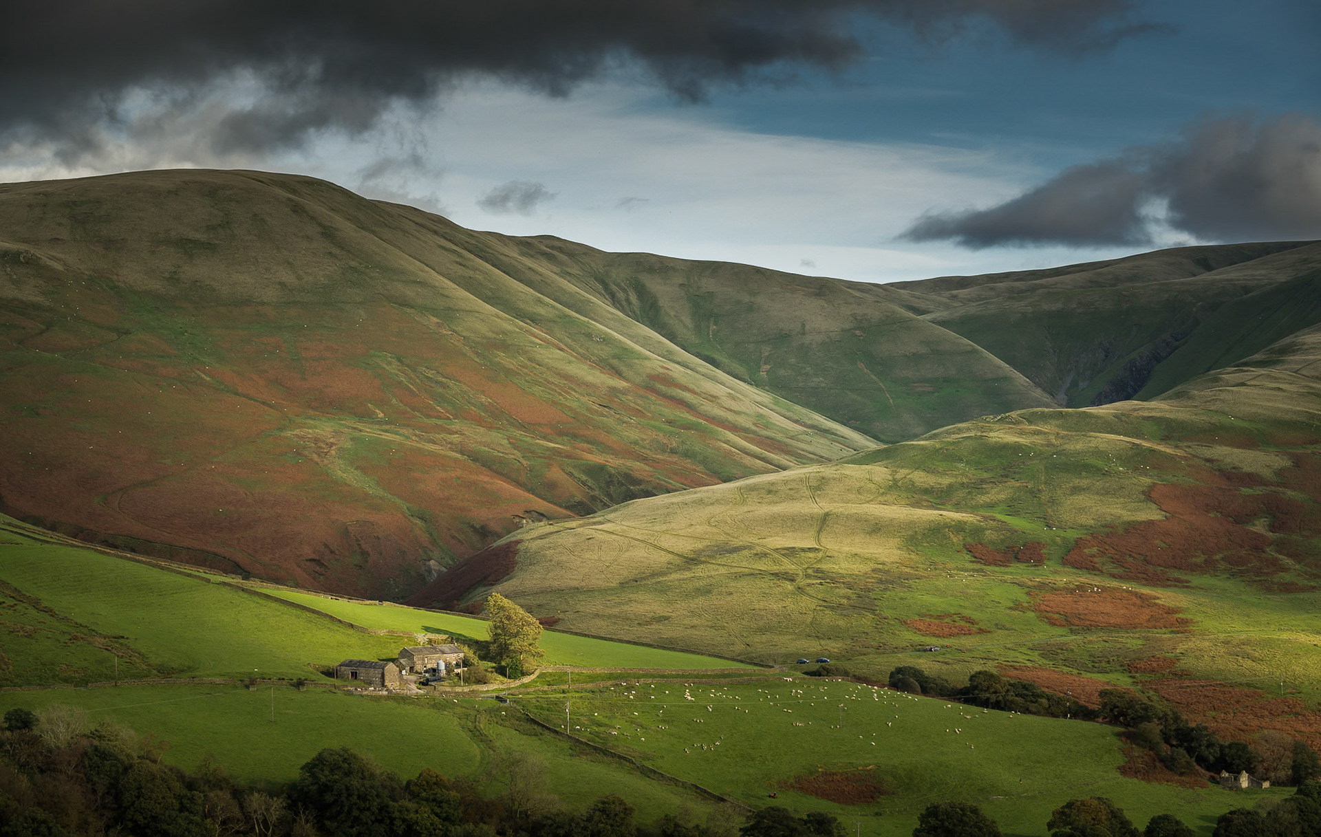 Late Afternoon Sunlight on Carlingill
