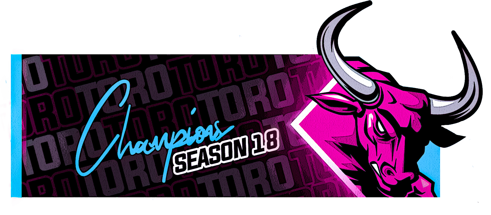 Website Banner